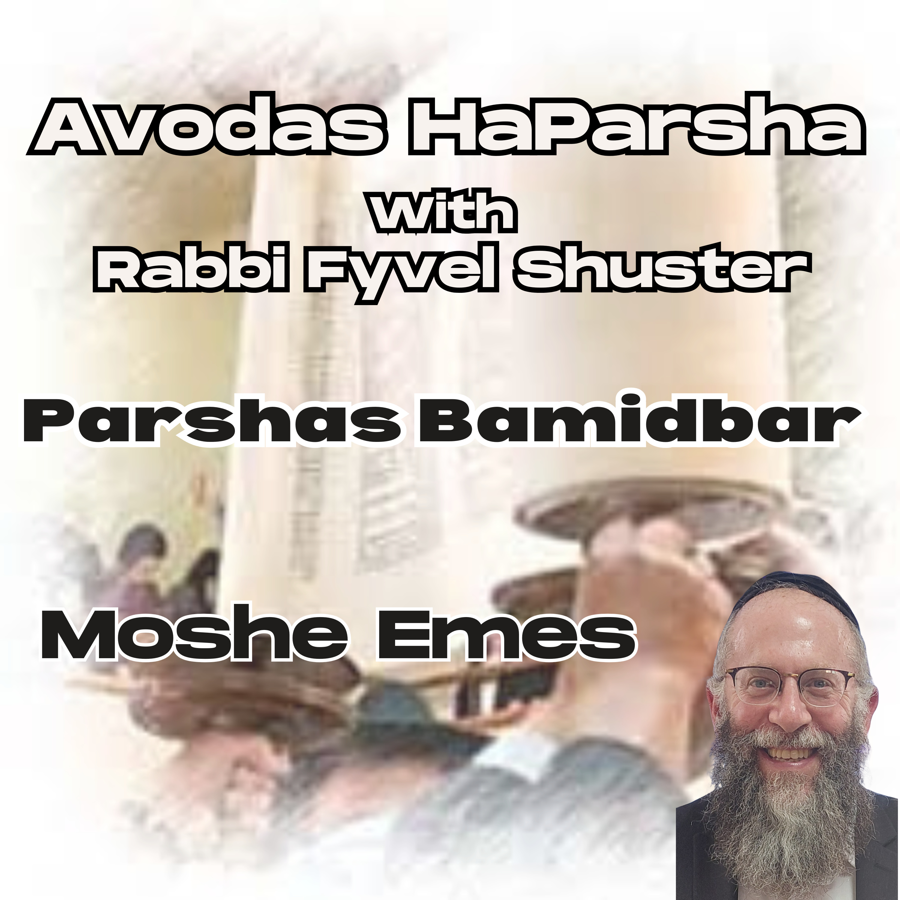 Moshe Emes - Avodas HaParsha - Parshas Bamidbar episode artwork