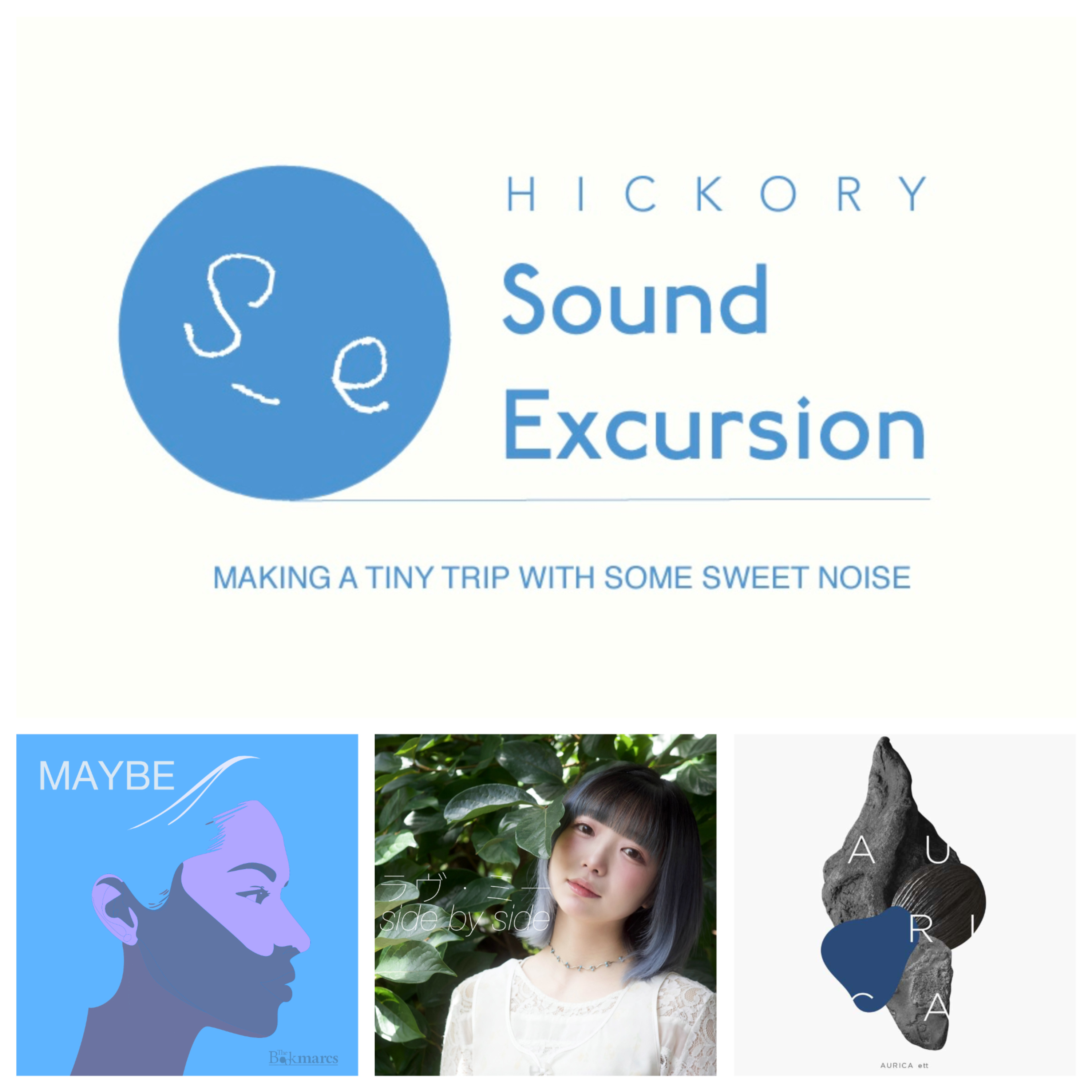 Hickory Sound Excursion