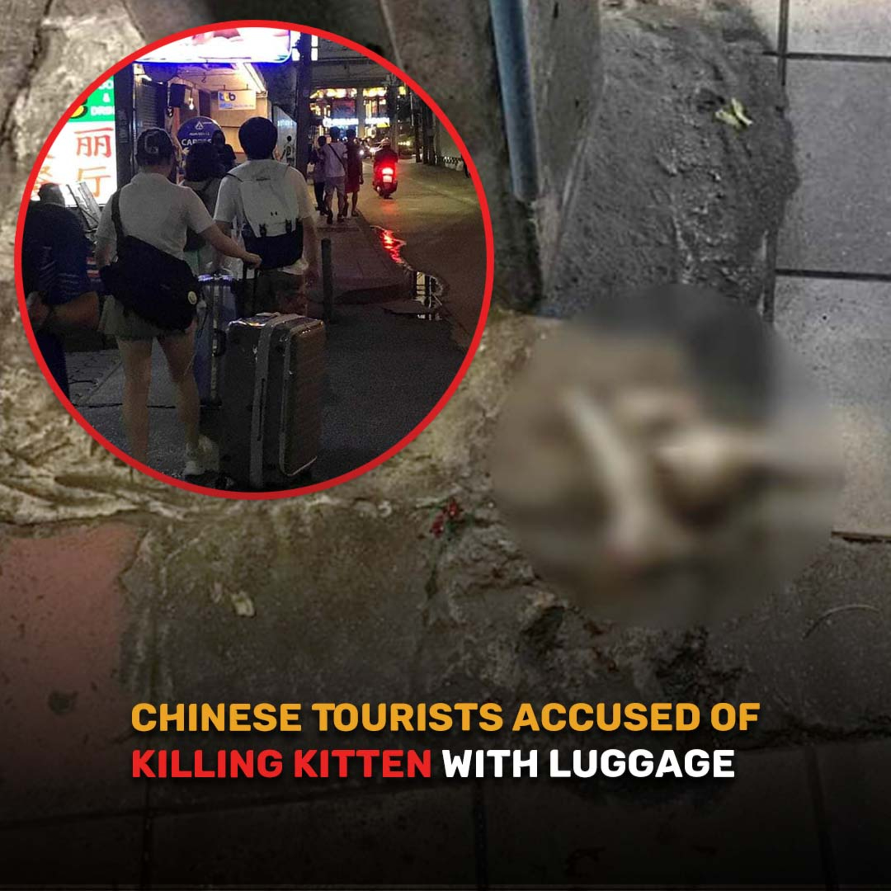 Good Morning Thailand EP.708 | Chinese Tourists Accused of Killing Kitten with Luggage & More.. episode artwork