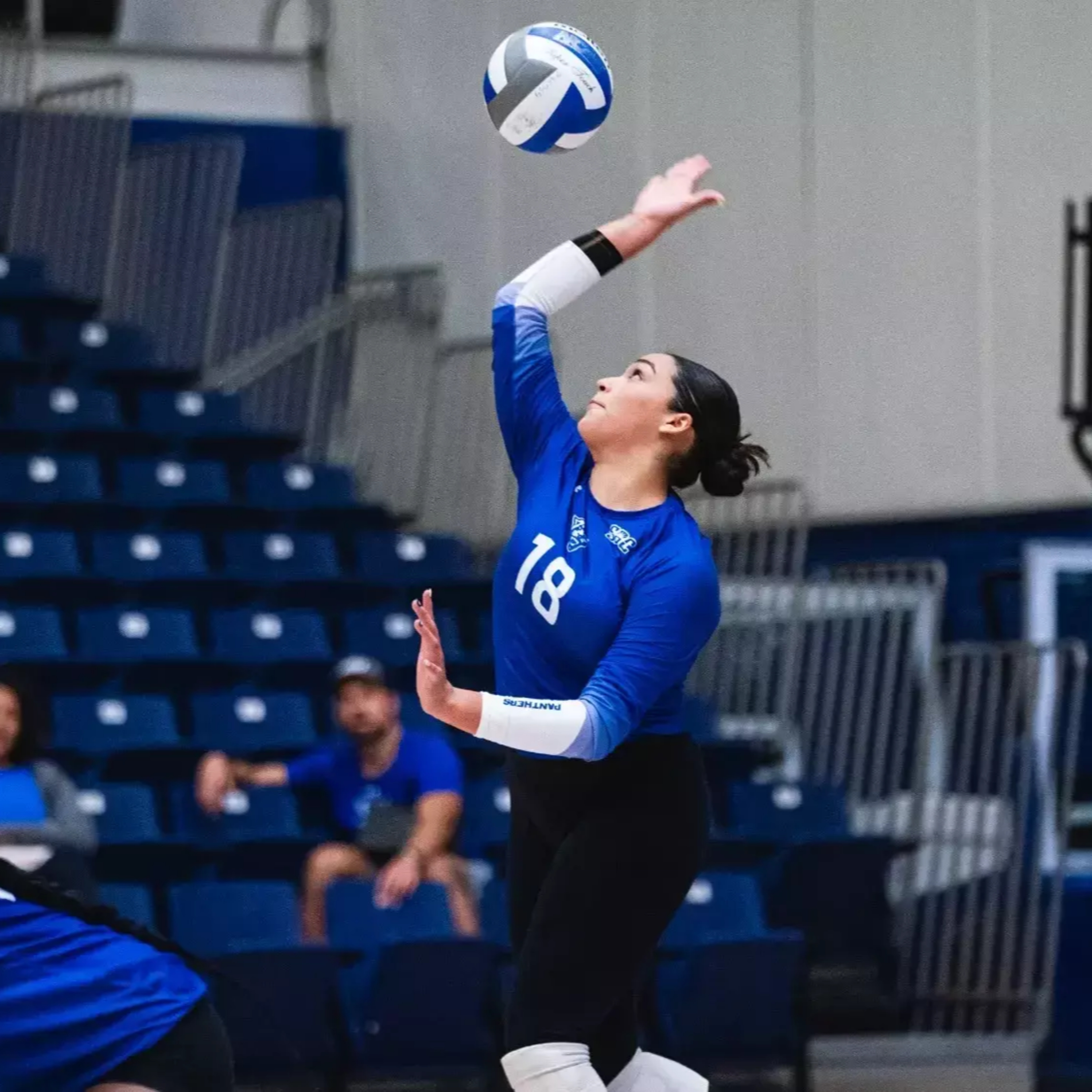 The Sports Inquirer