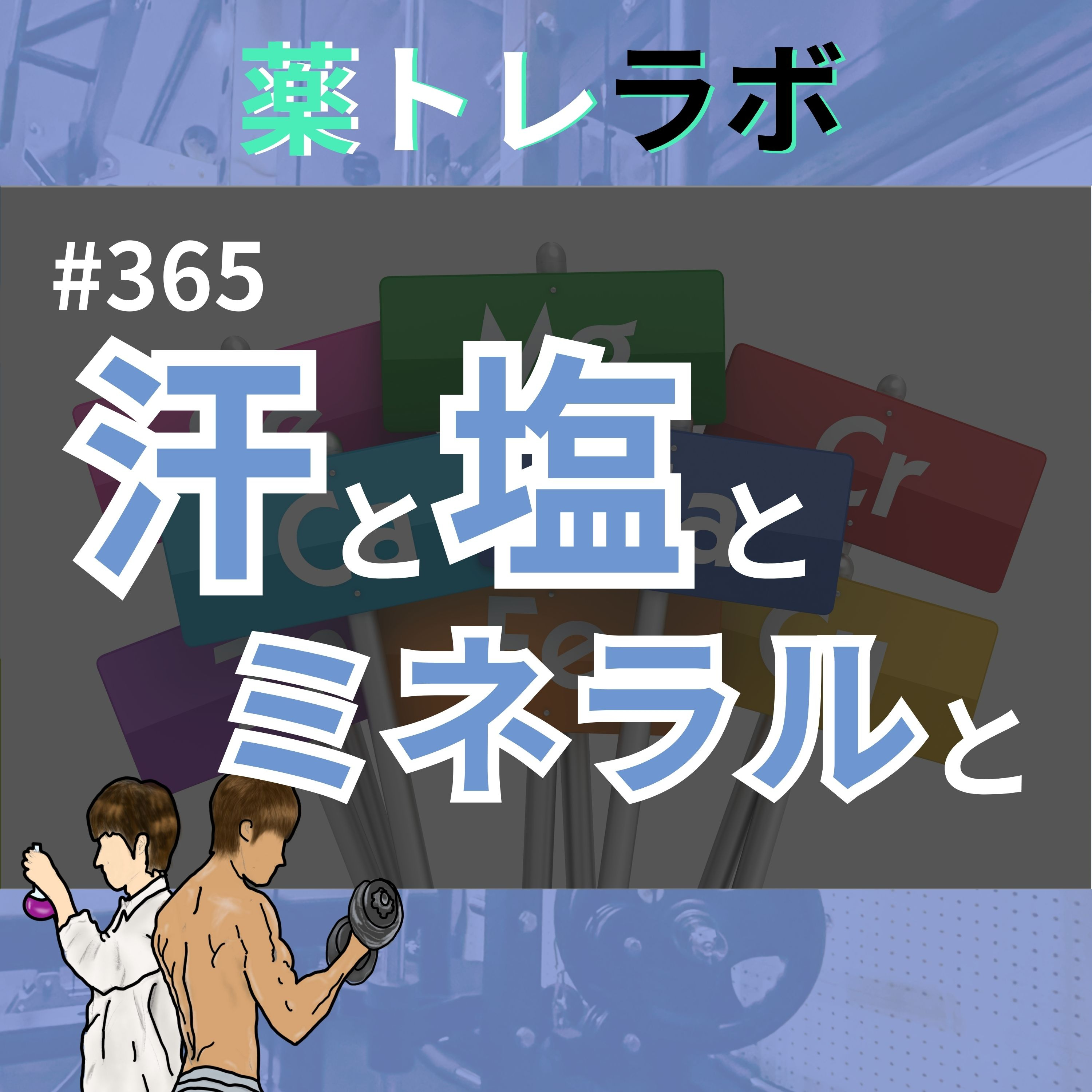 #365 運動中のミネラル補給の正解でたぞ