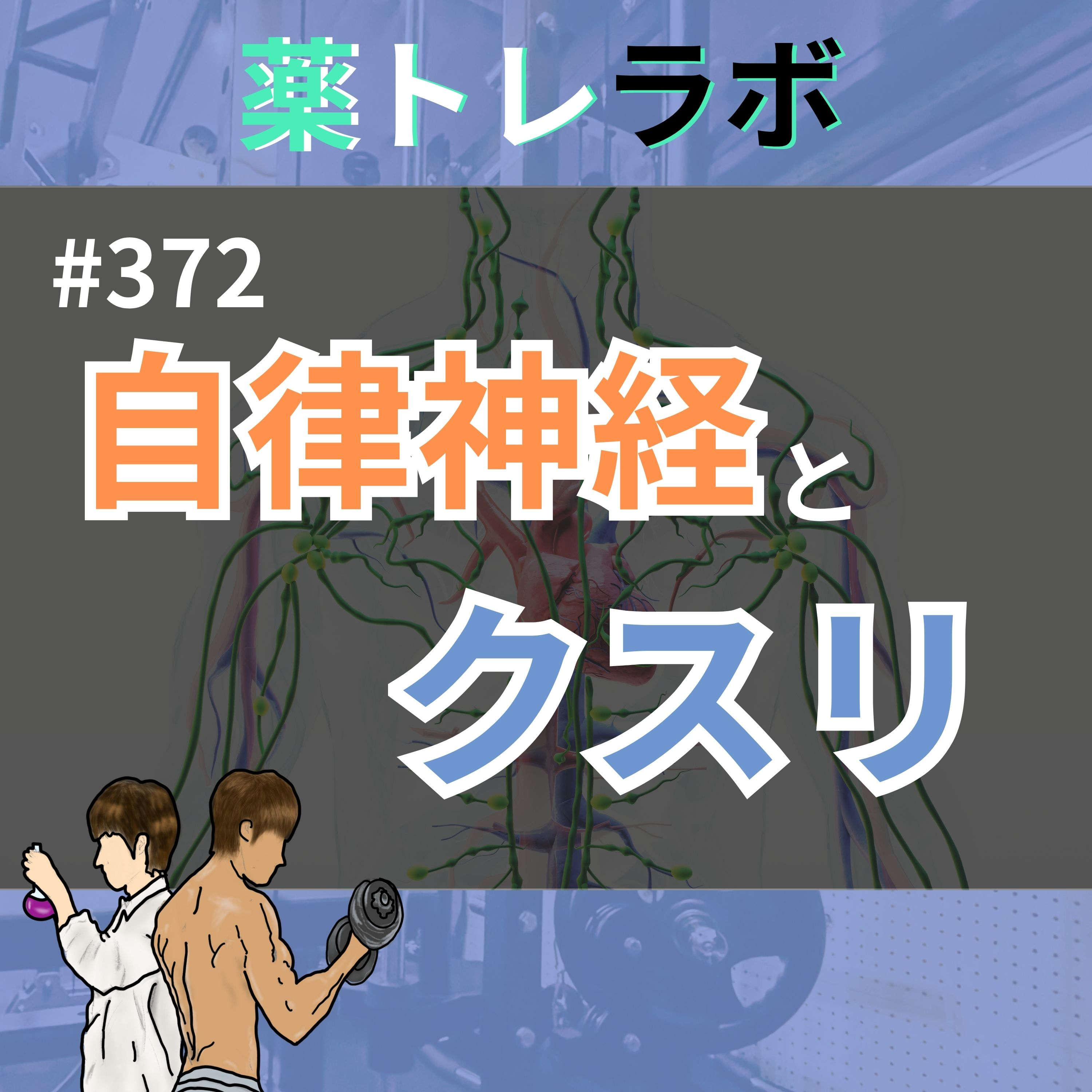 #372 薬の8割は自律神経に作用する?