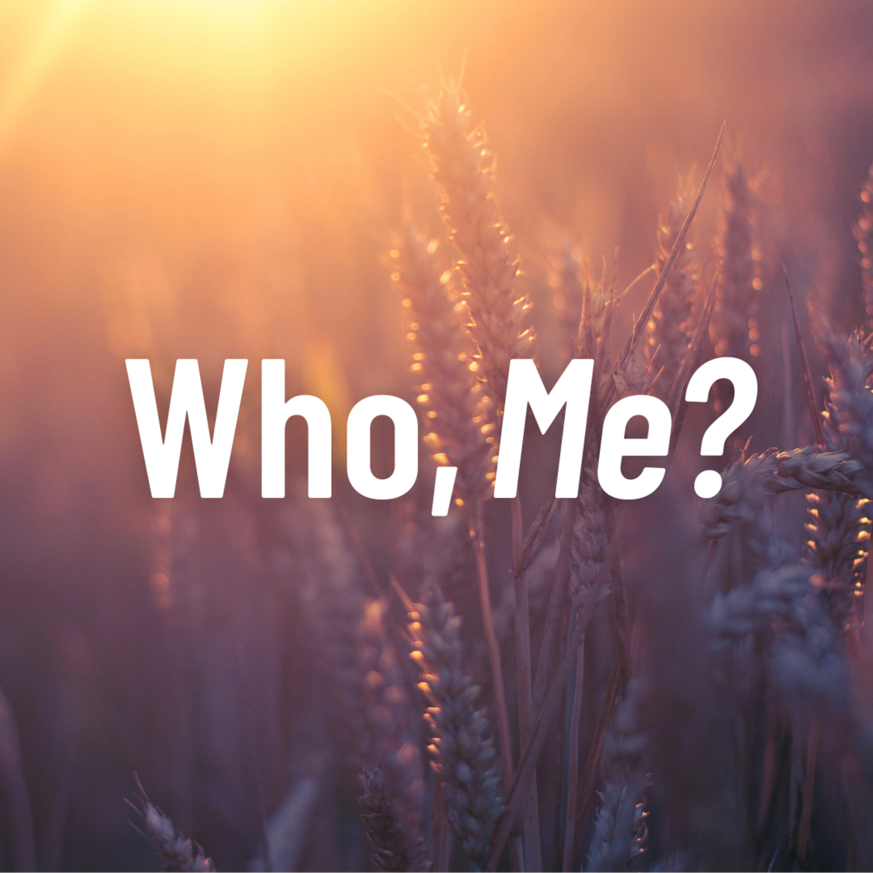 Who, Me? – Keys to Transforming Ministry episode artwork