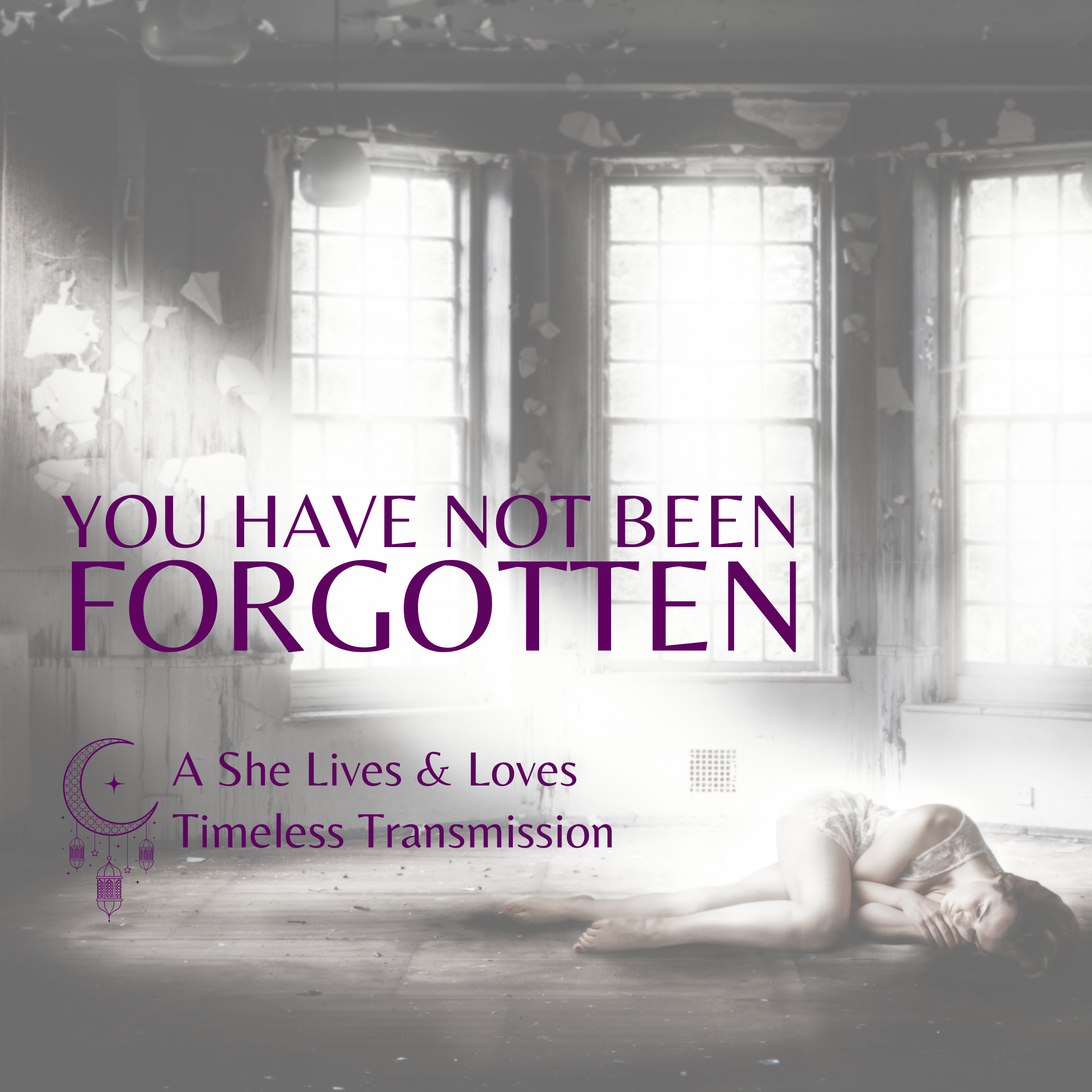 Timeless Transmission: You Are Not Forgotten episode artwork