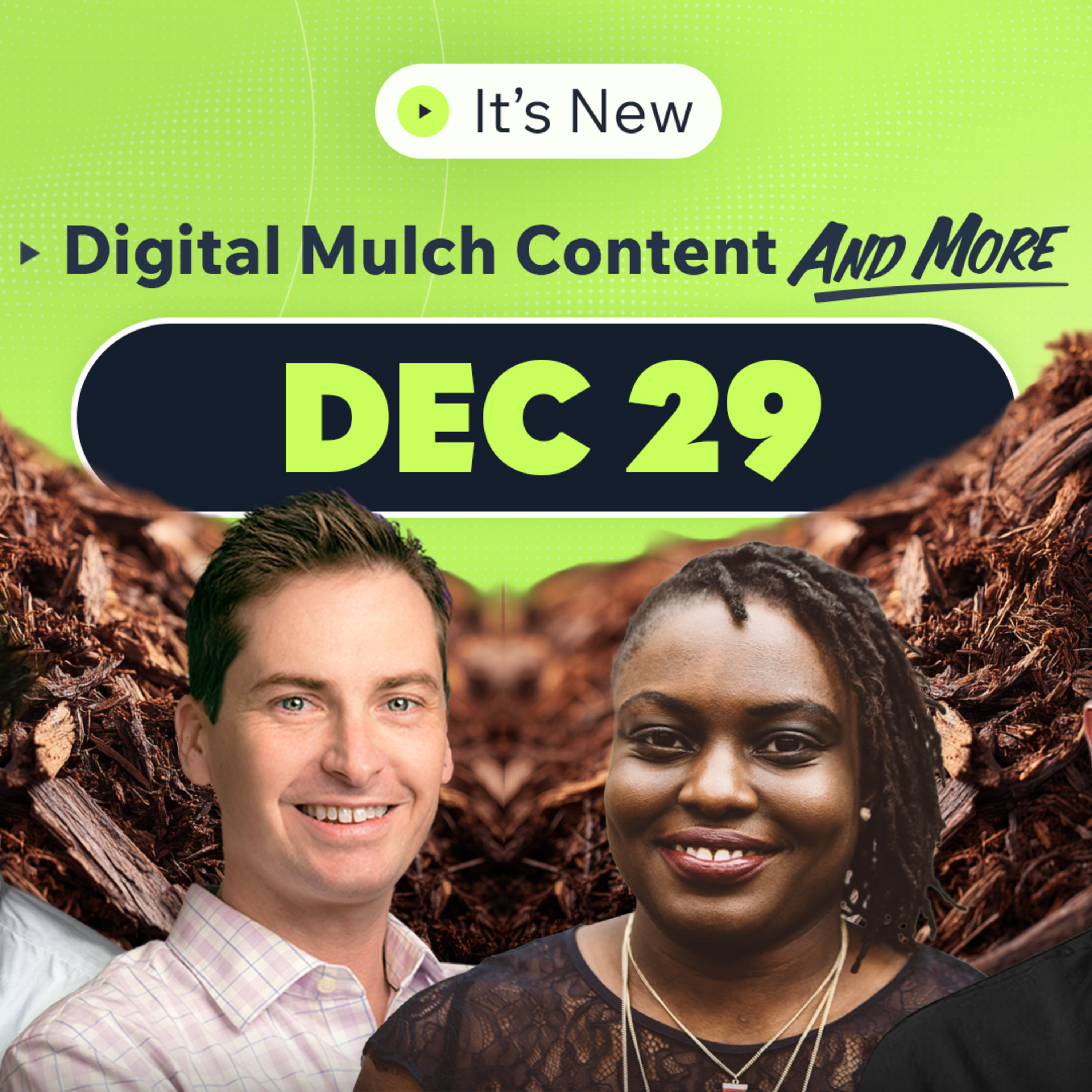 It’s New 12/29: Digital mulch, ccTLDs for SEO, Microsoft Advertising custom columns and more episode artwork