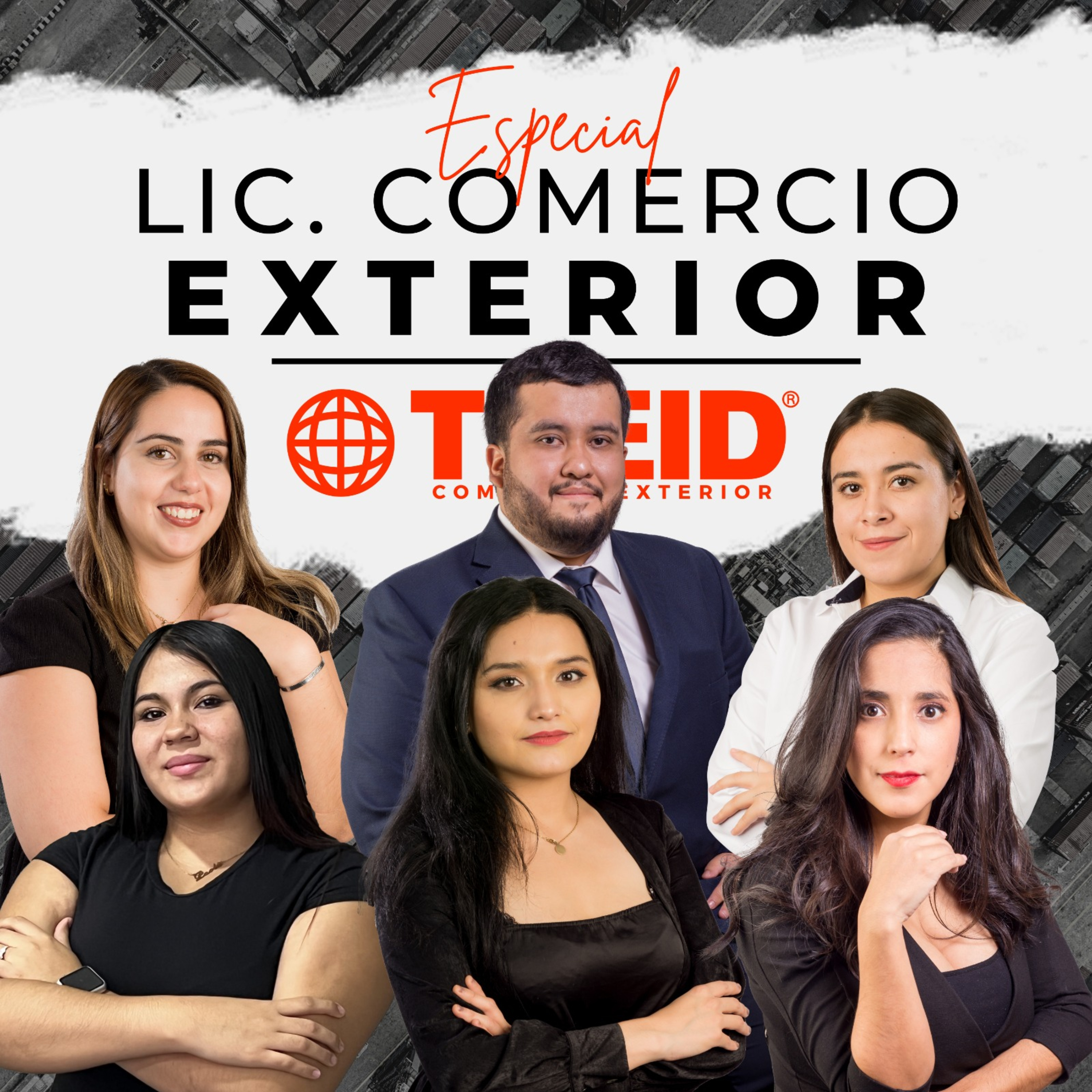 Treid Comercio Exterior