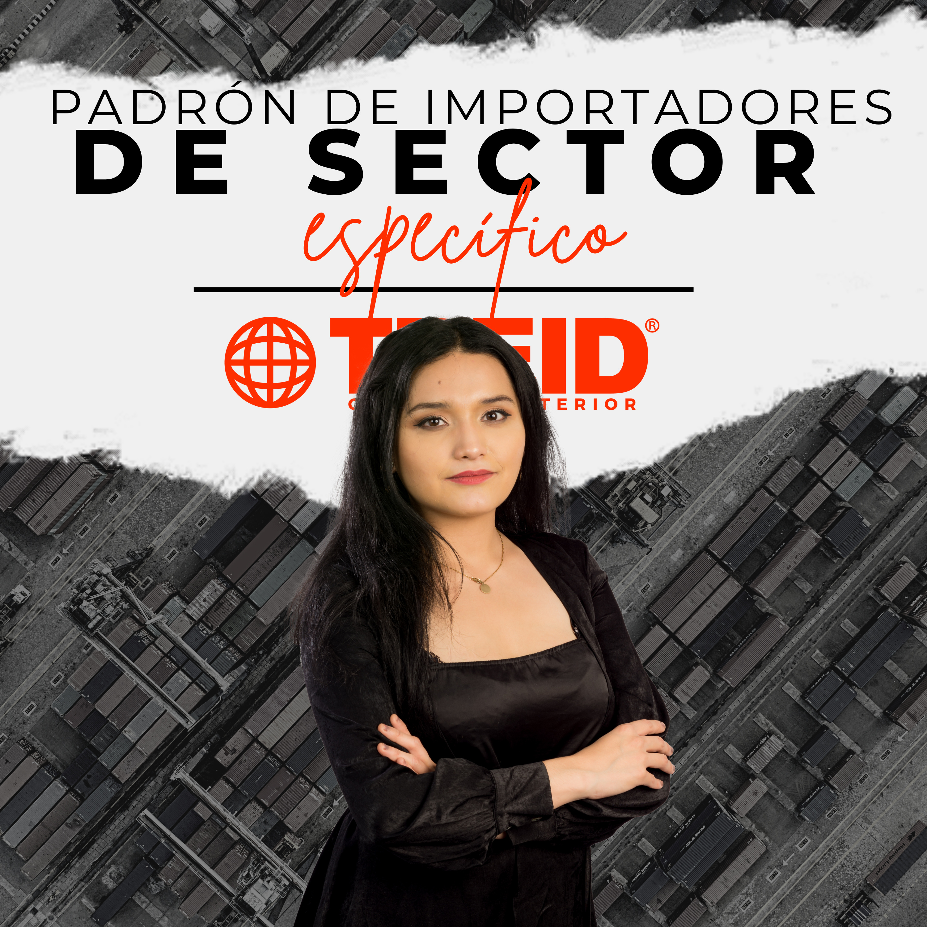 Treid Comercio Exterior