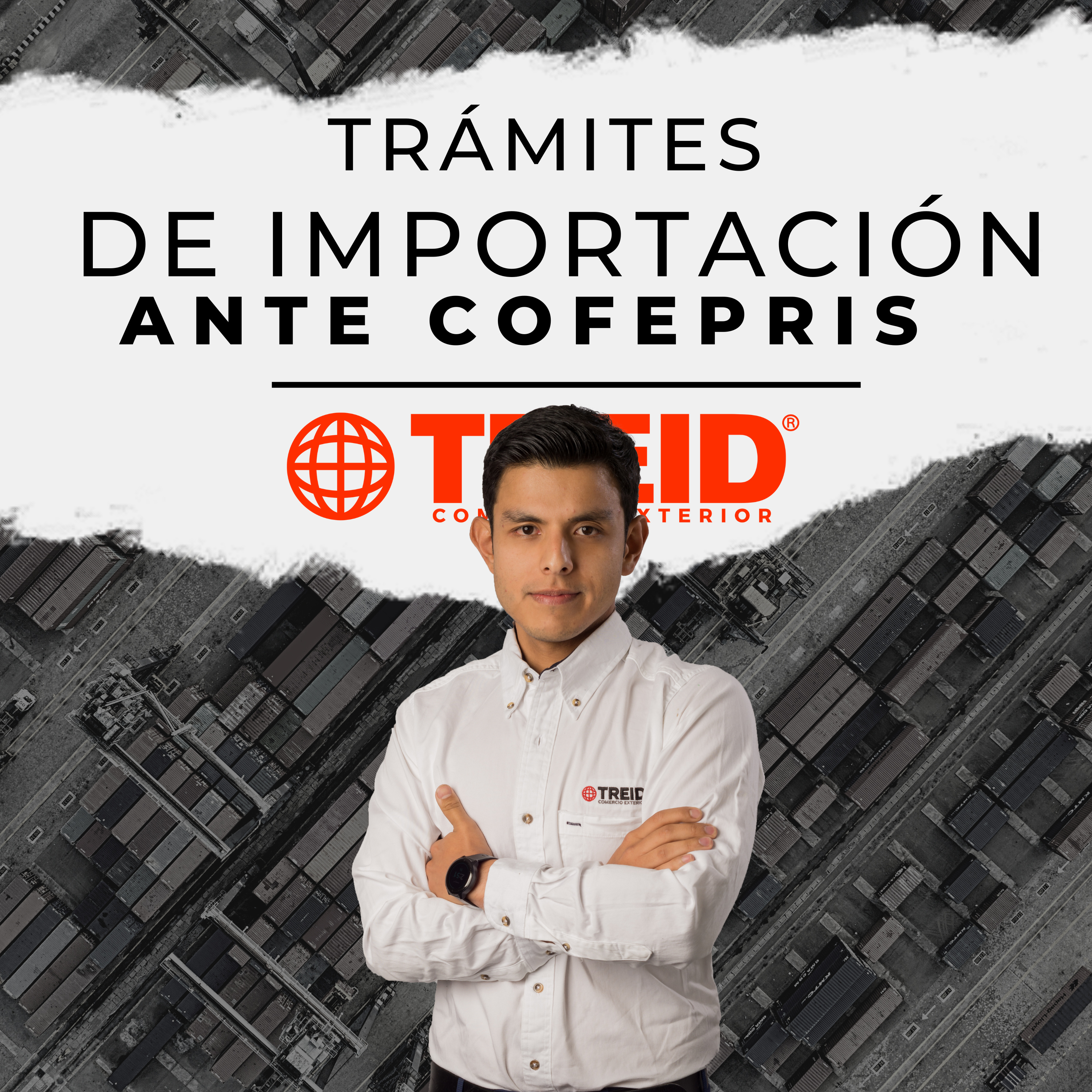 Treid Comercio Exterior