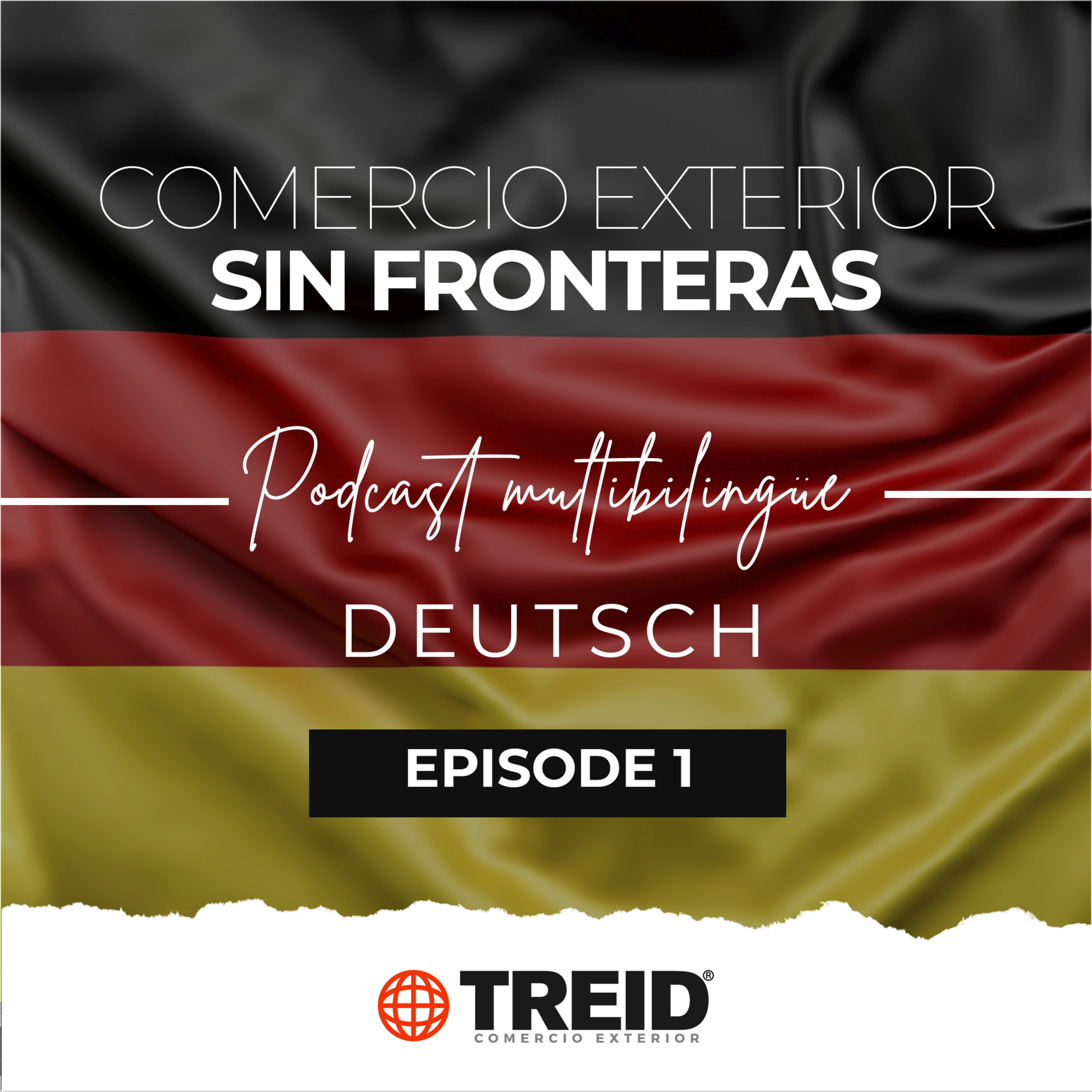 Treid Comercio Exterior