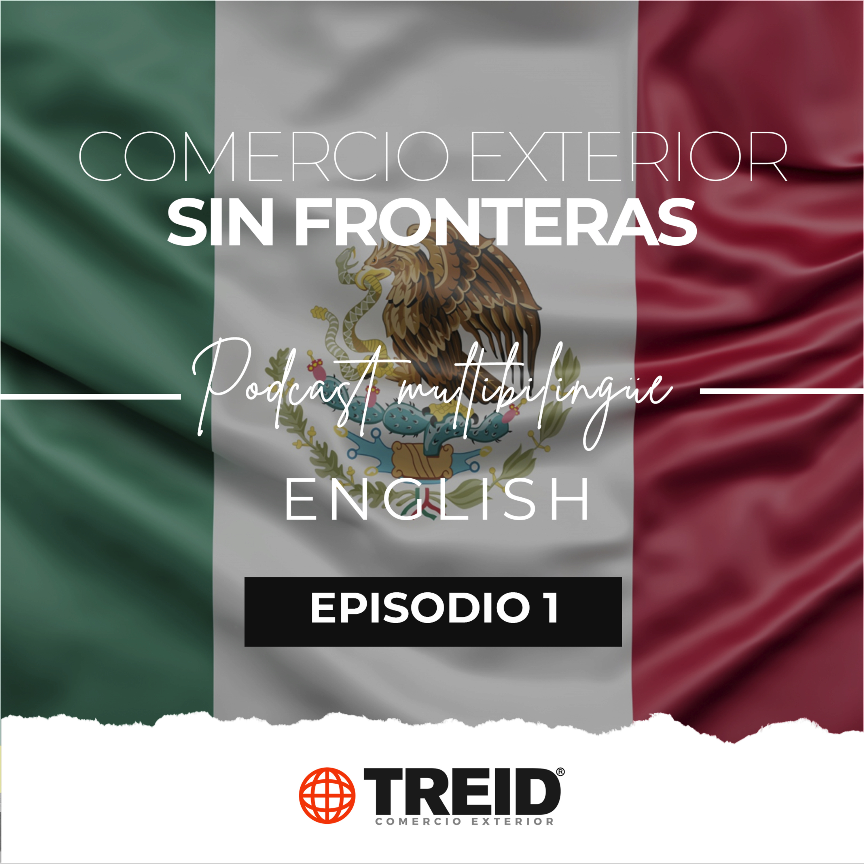 Treid Comercio Exterior
