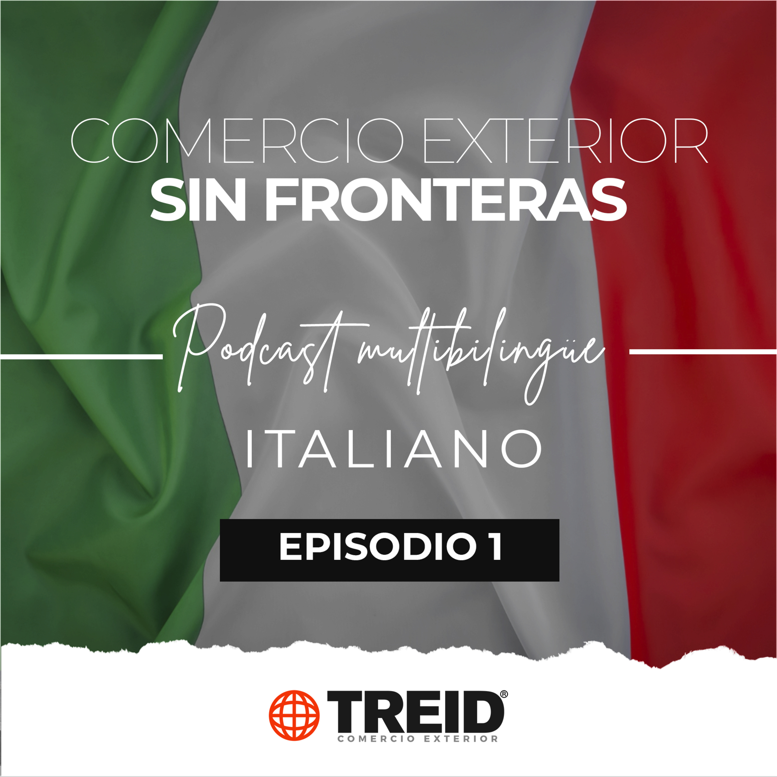 Treid Comercio Exterior