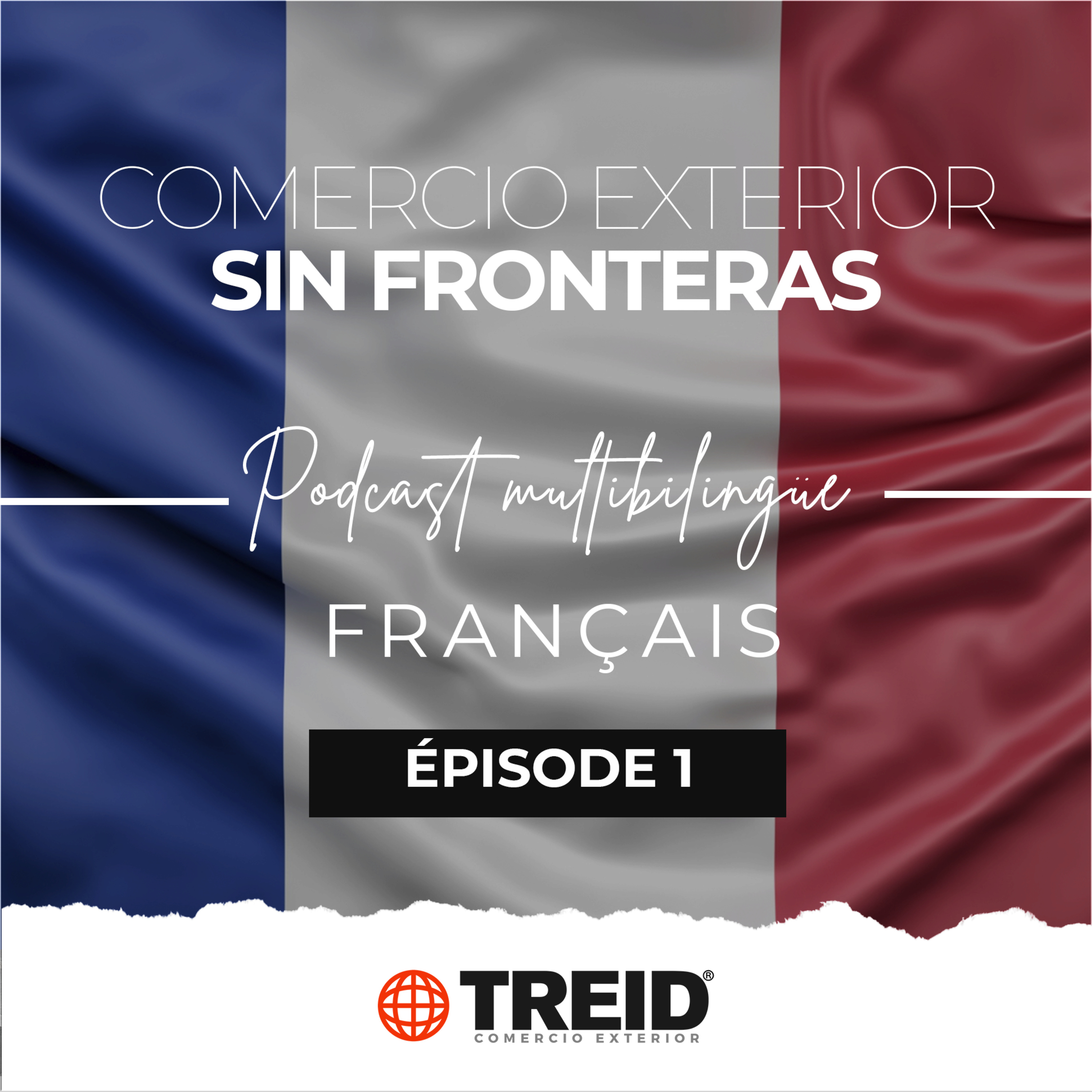 Treid Comercio Exterior