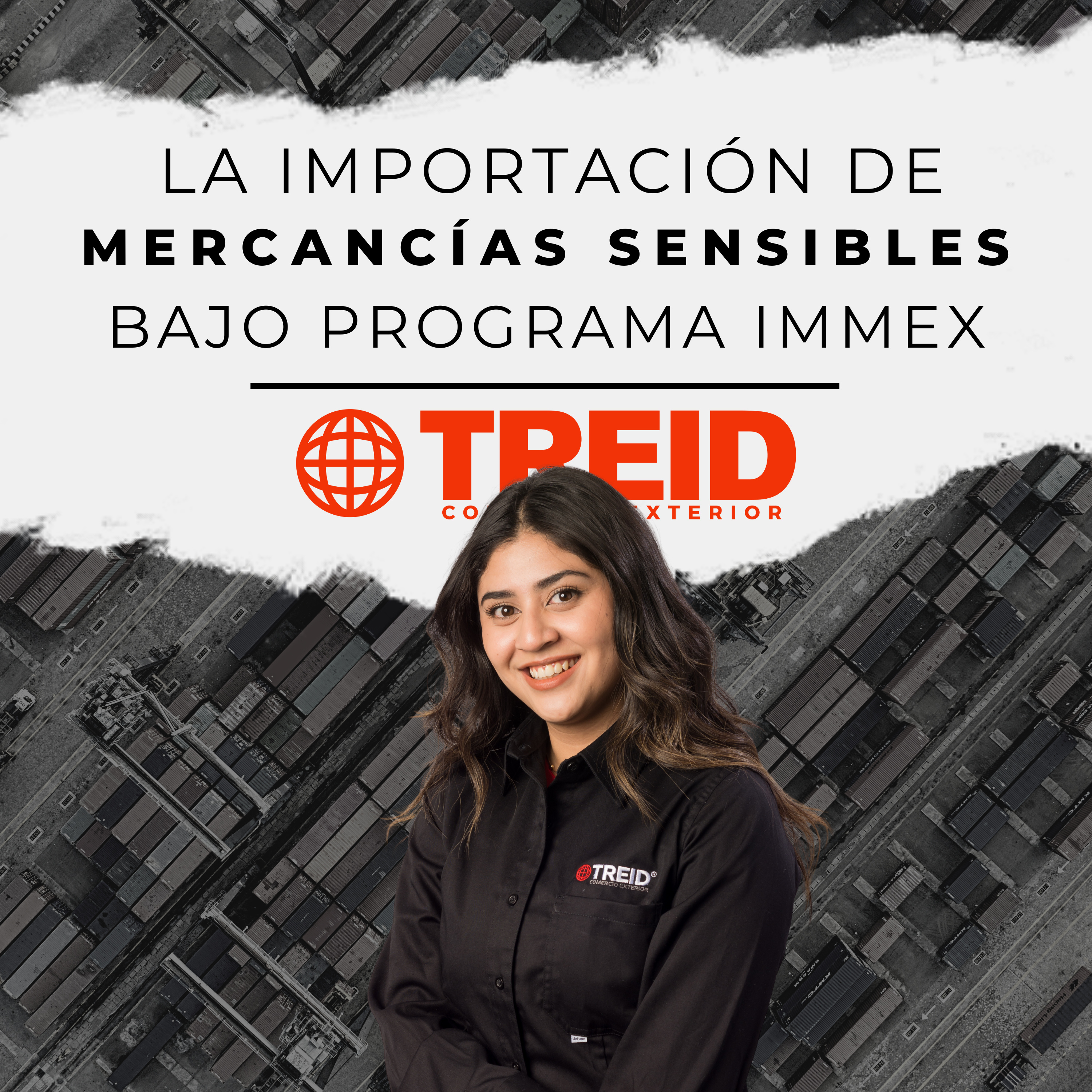 Treid Comercio Exterior