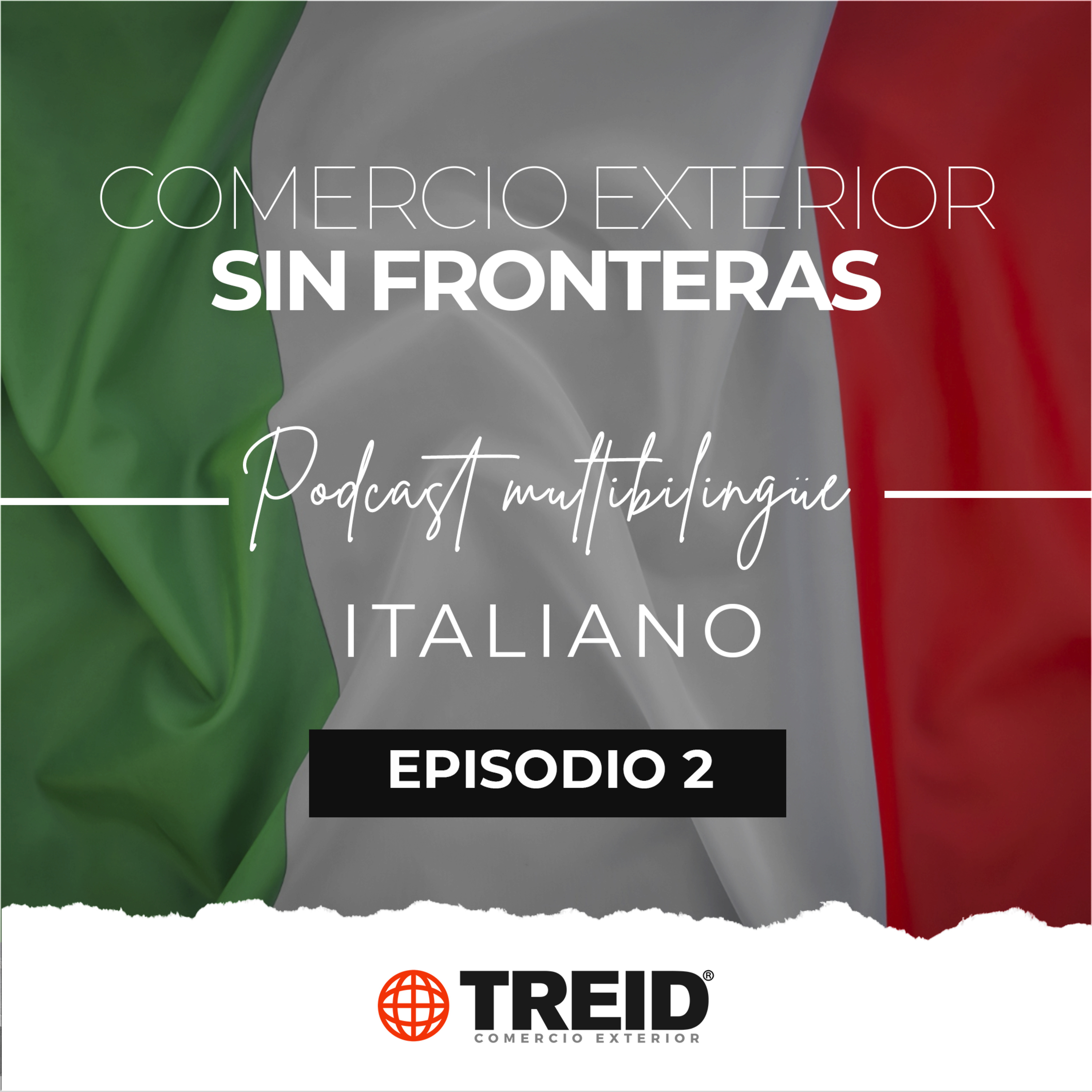 Treid Comercio Exterior