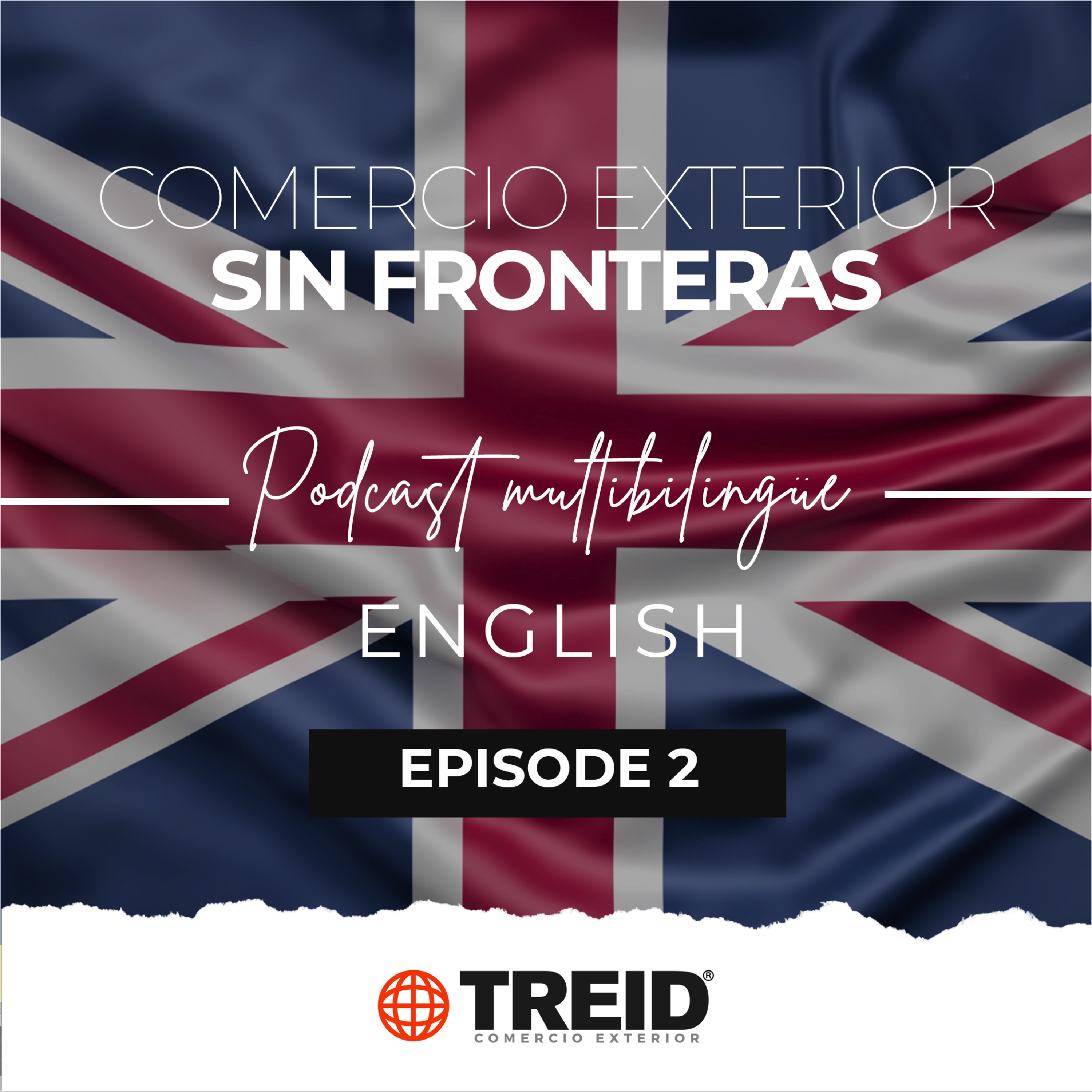 Treid Comercio Exterior