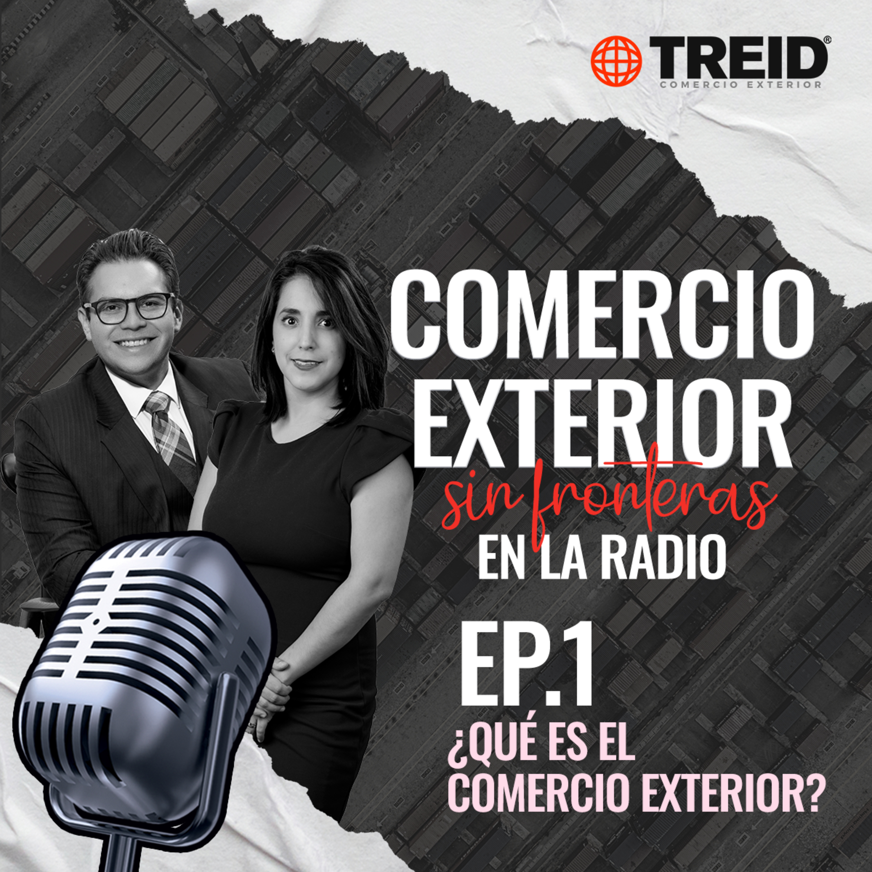 Treid Comercio Exterior