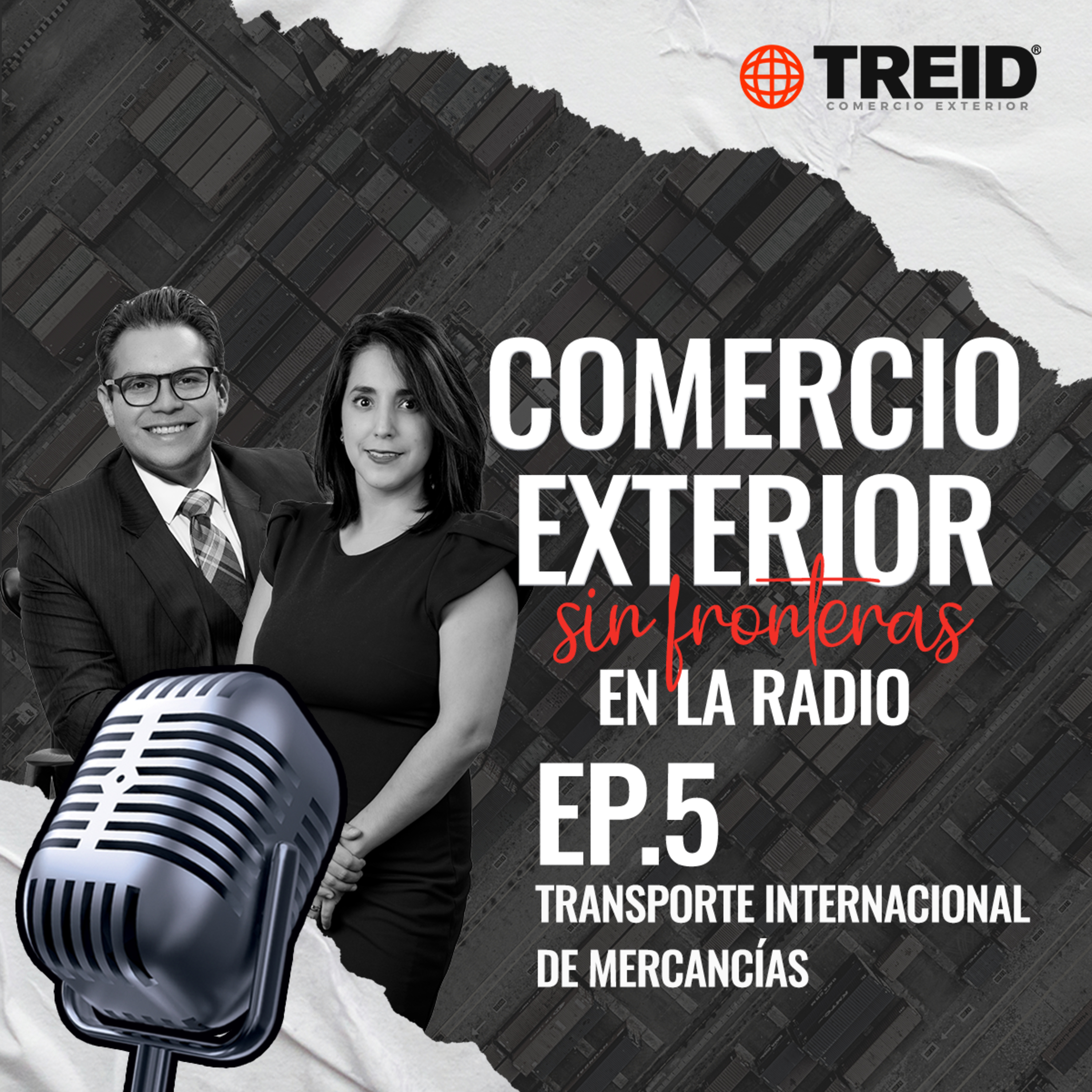 Treid Comercio Exterior