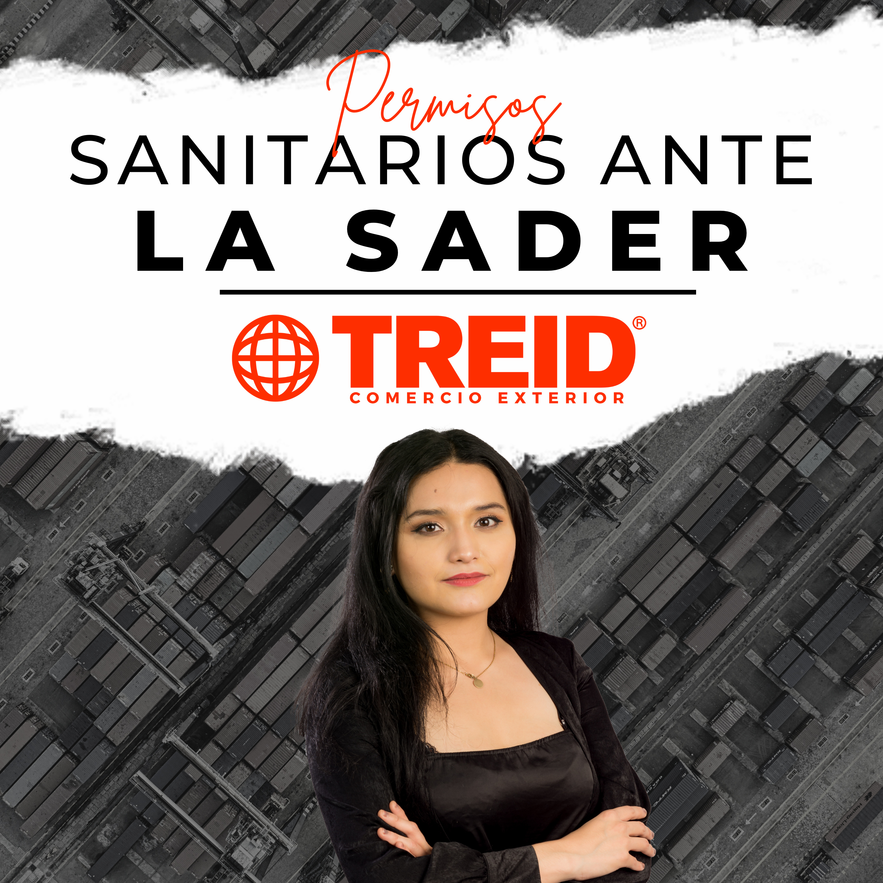 Treid Comercio Exterior