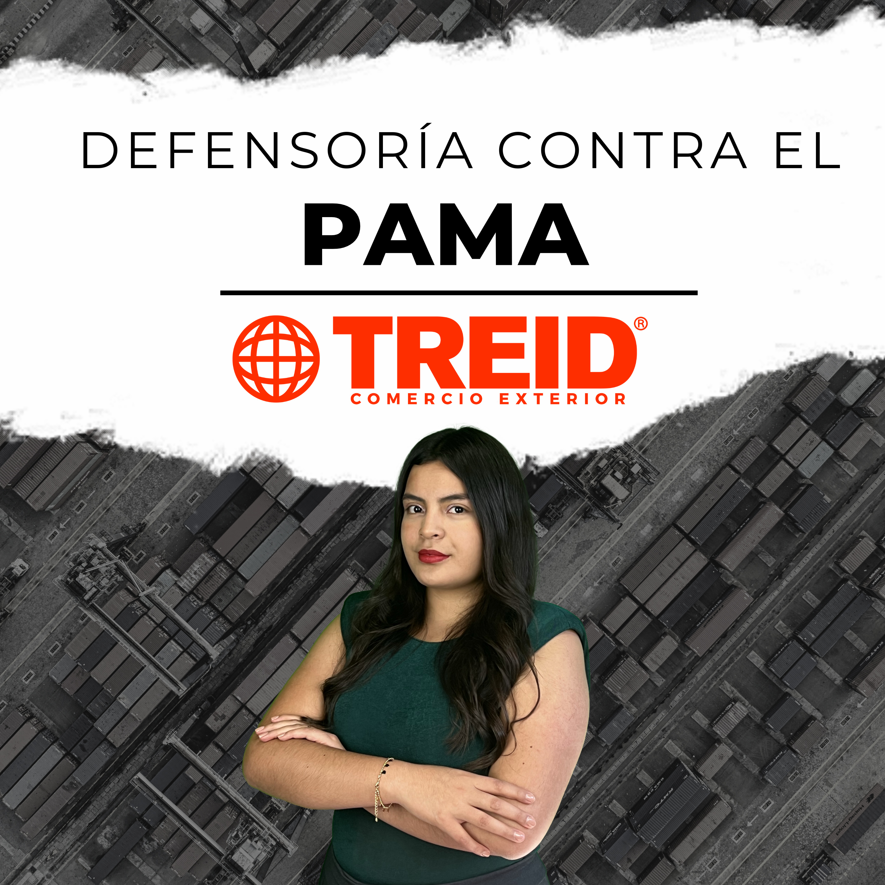 Treid Comercio Exterior