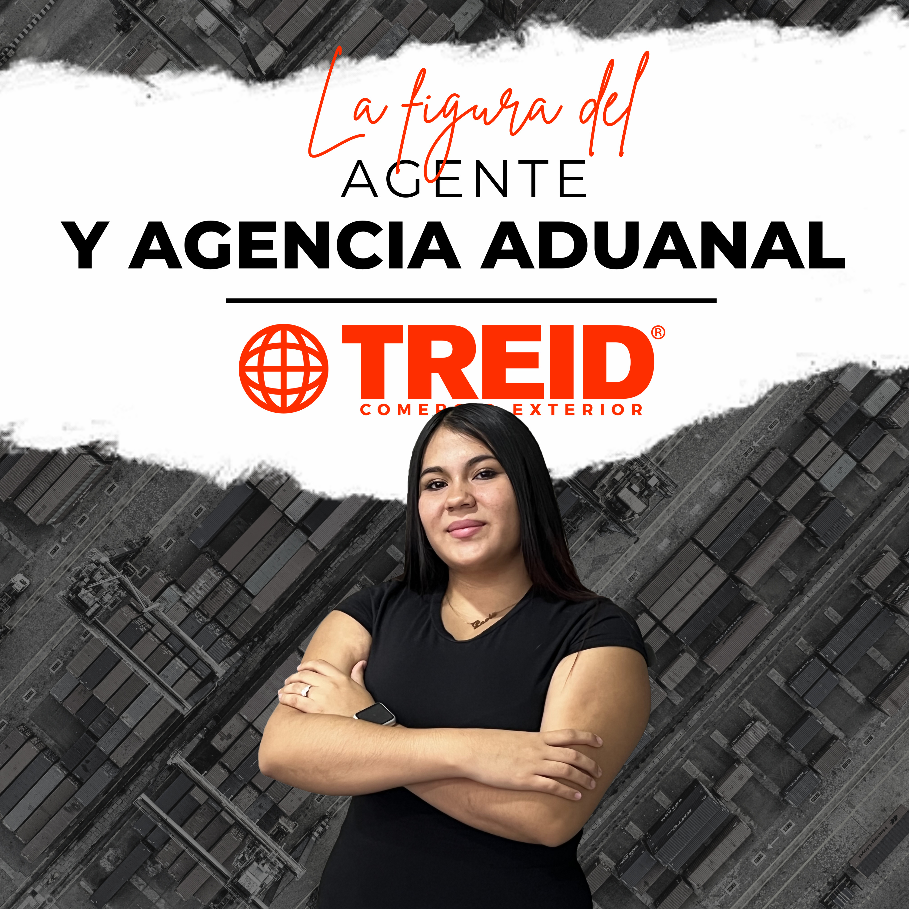 Treid Comercio Exterior