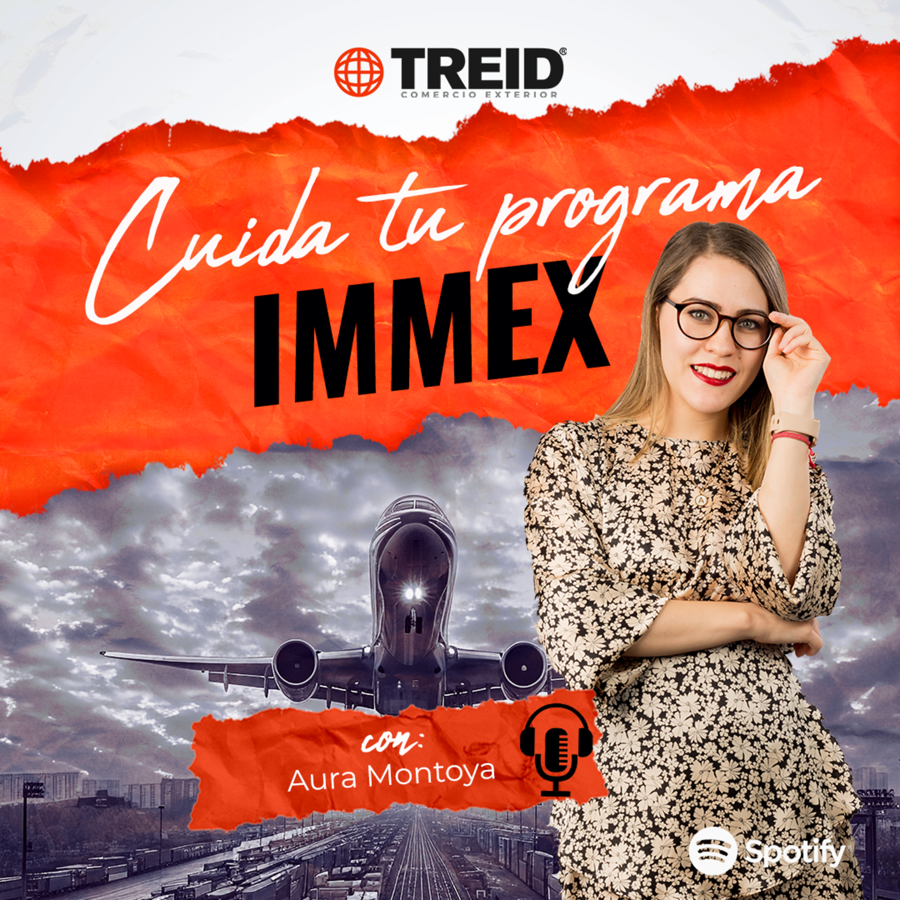 Treid Comercio Exterior