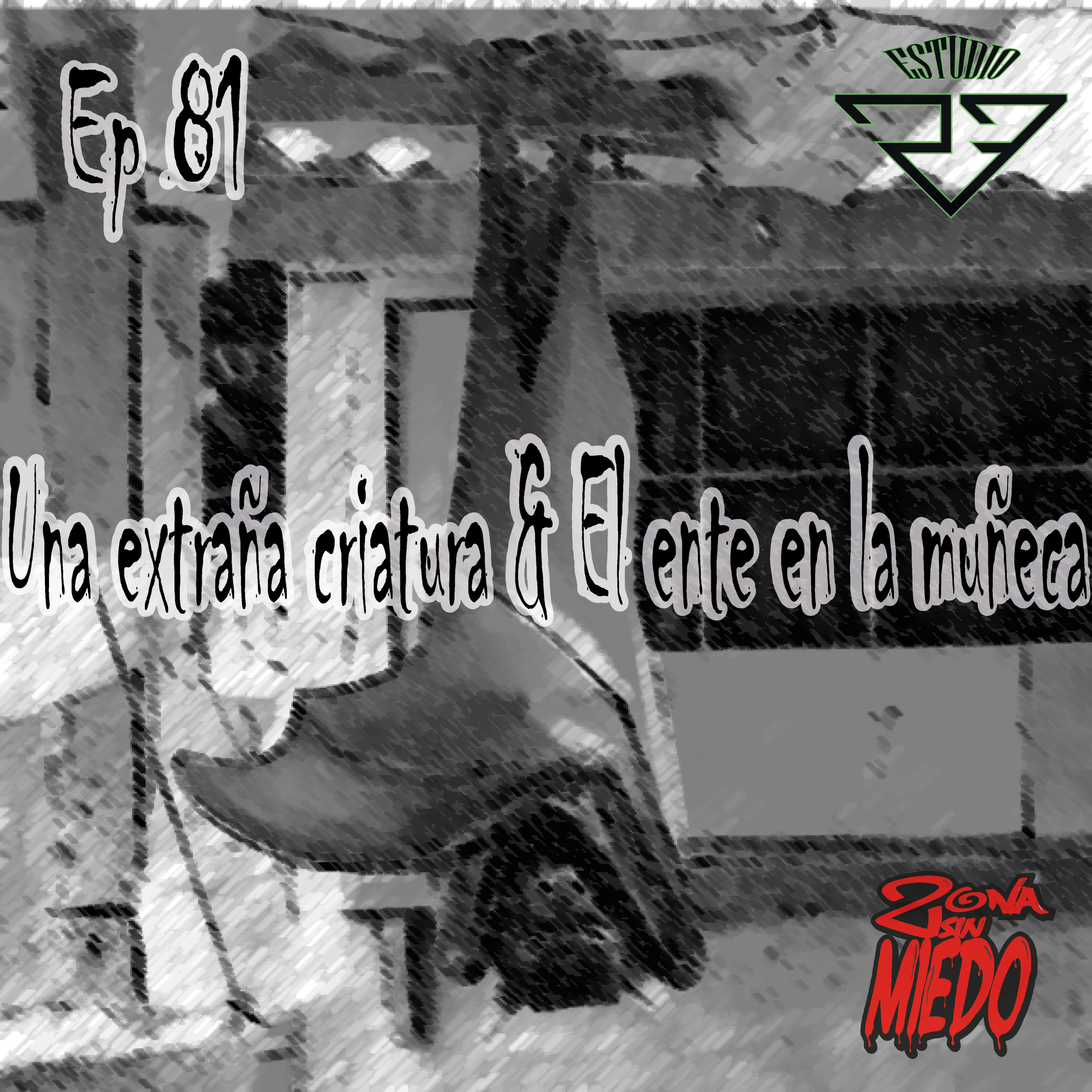Zona Sin Miedo
