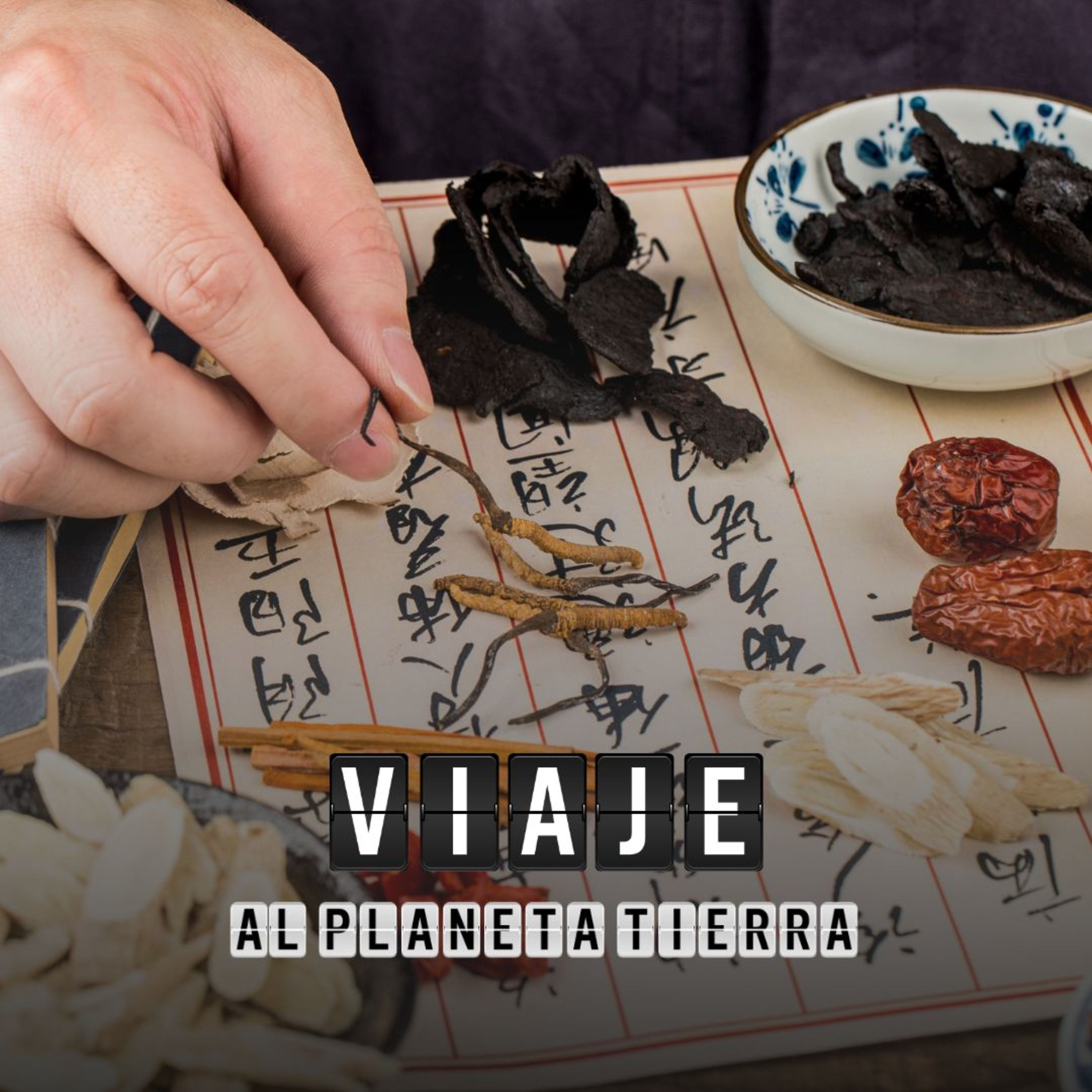 #76 La medicina china en el día a día (con Catachina)