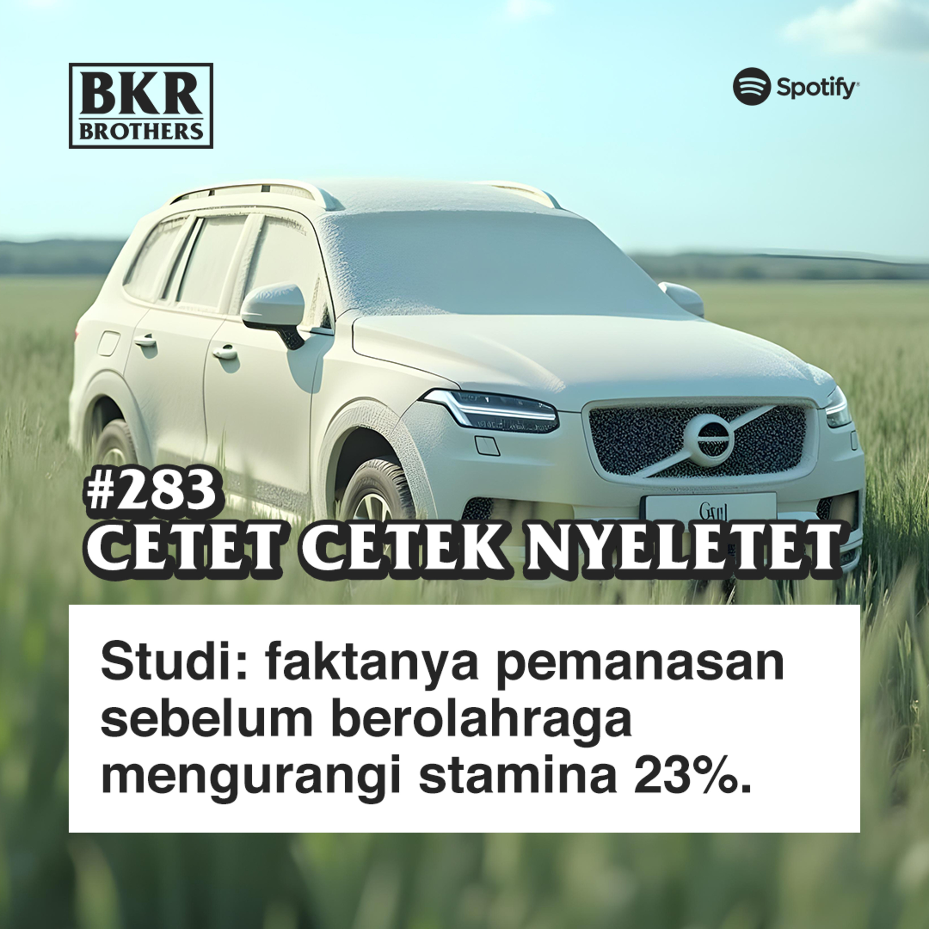 #283 Cetet Cetek Nyeletet