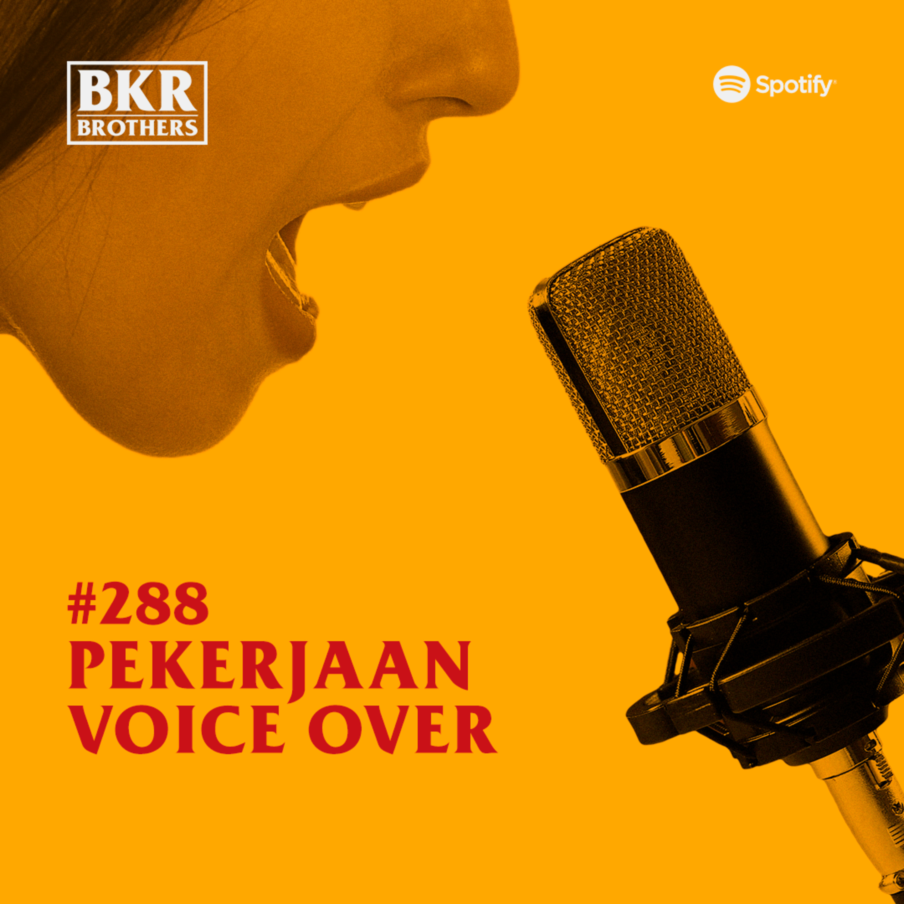 #288 Pekerjaan Voice Over