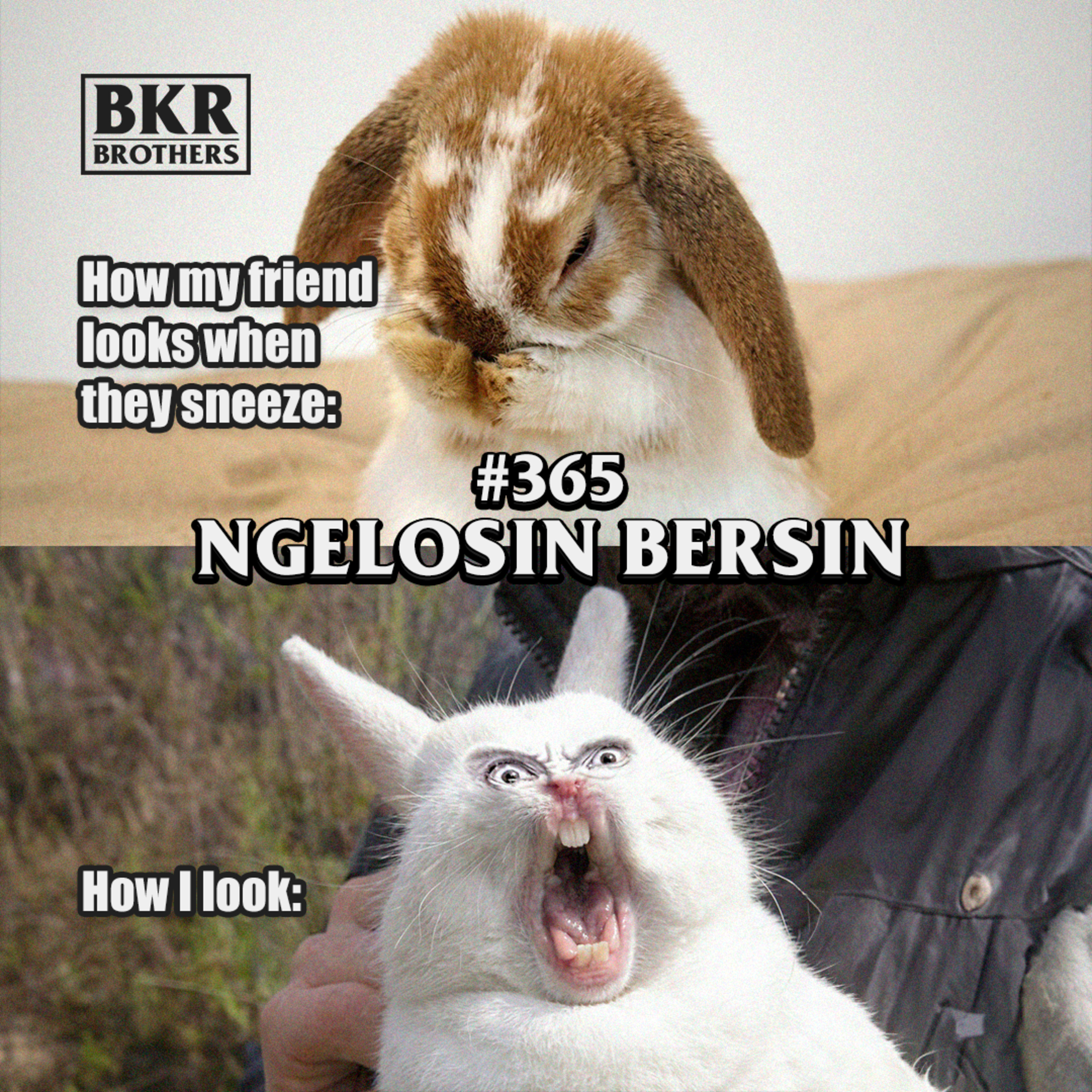 #365 Ngelosin Bersin