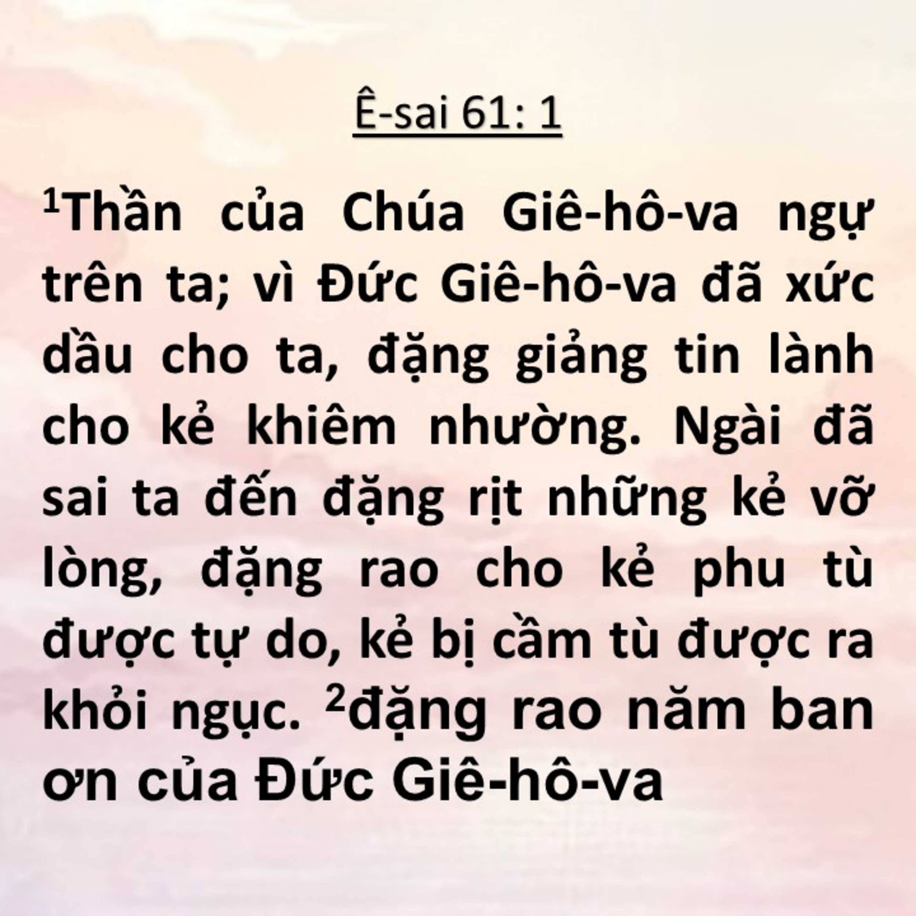 Học Kinh Thánh từng chương
