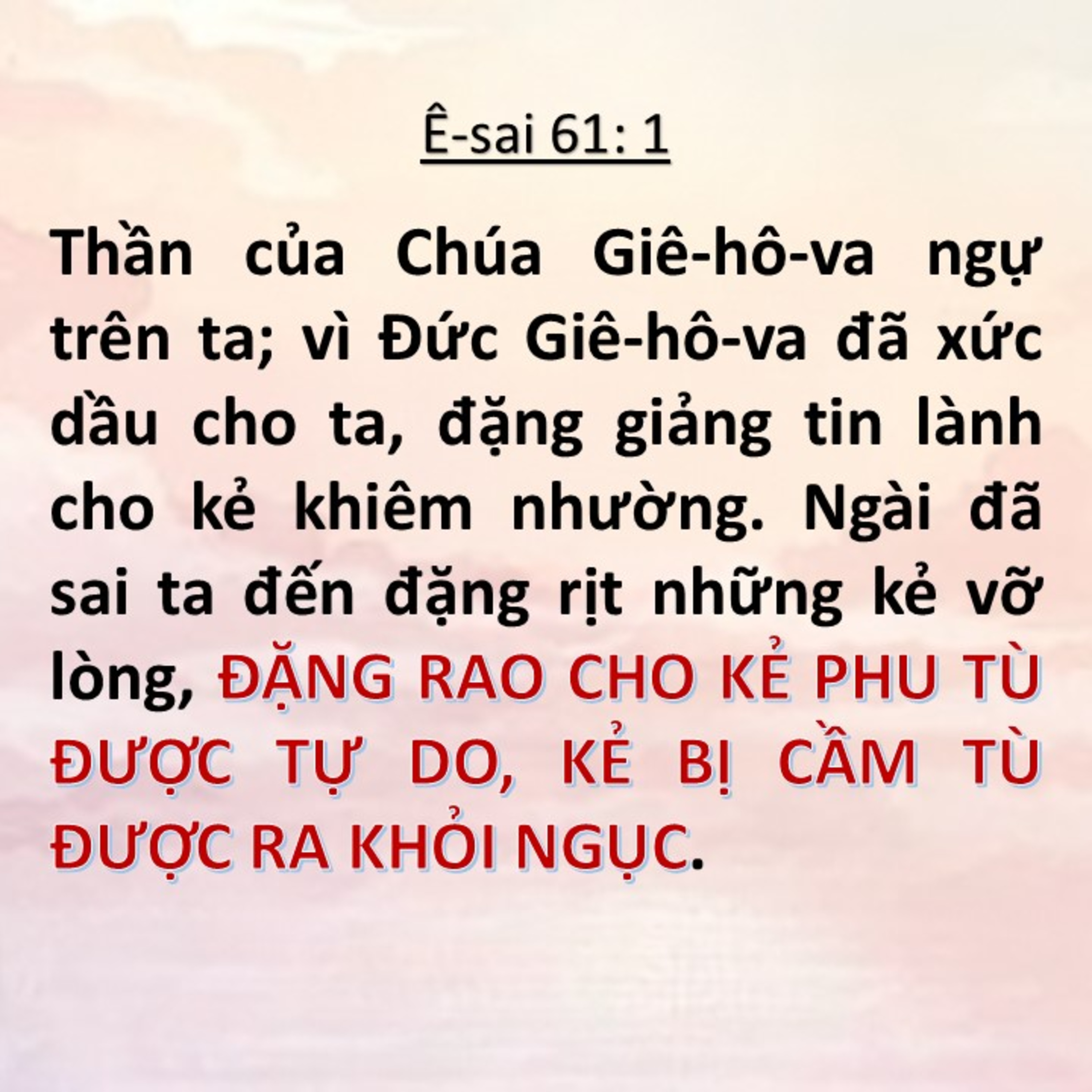 Học Kinh Thánh từng chương