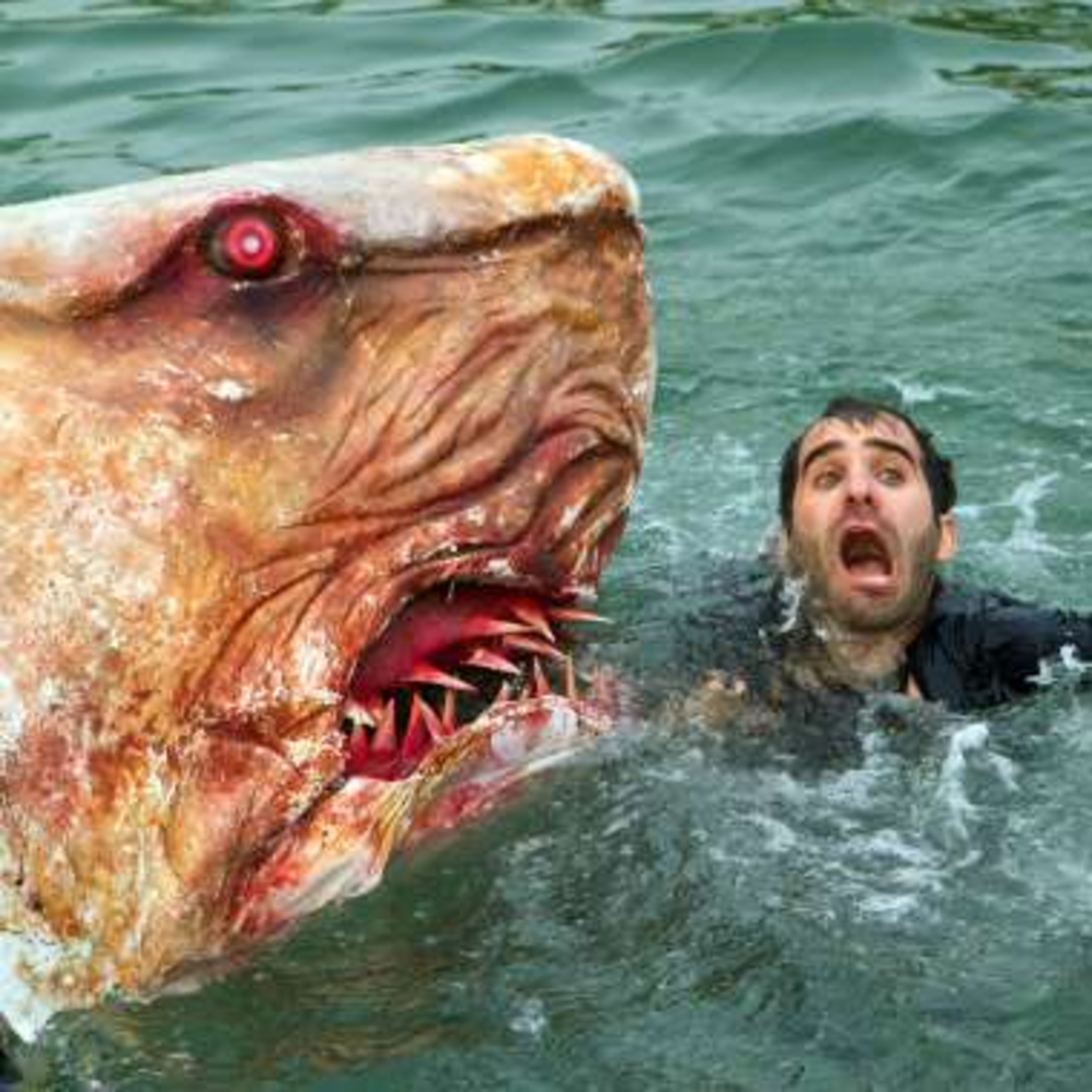 Jersey Shore Shark Attack (2011) episode artwork