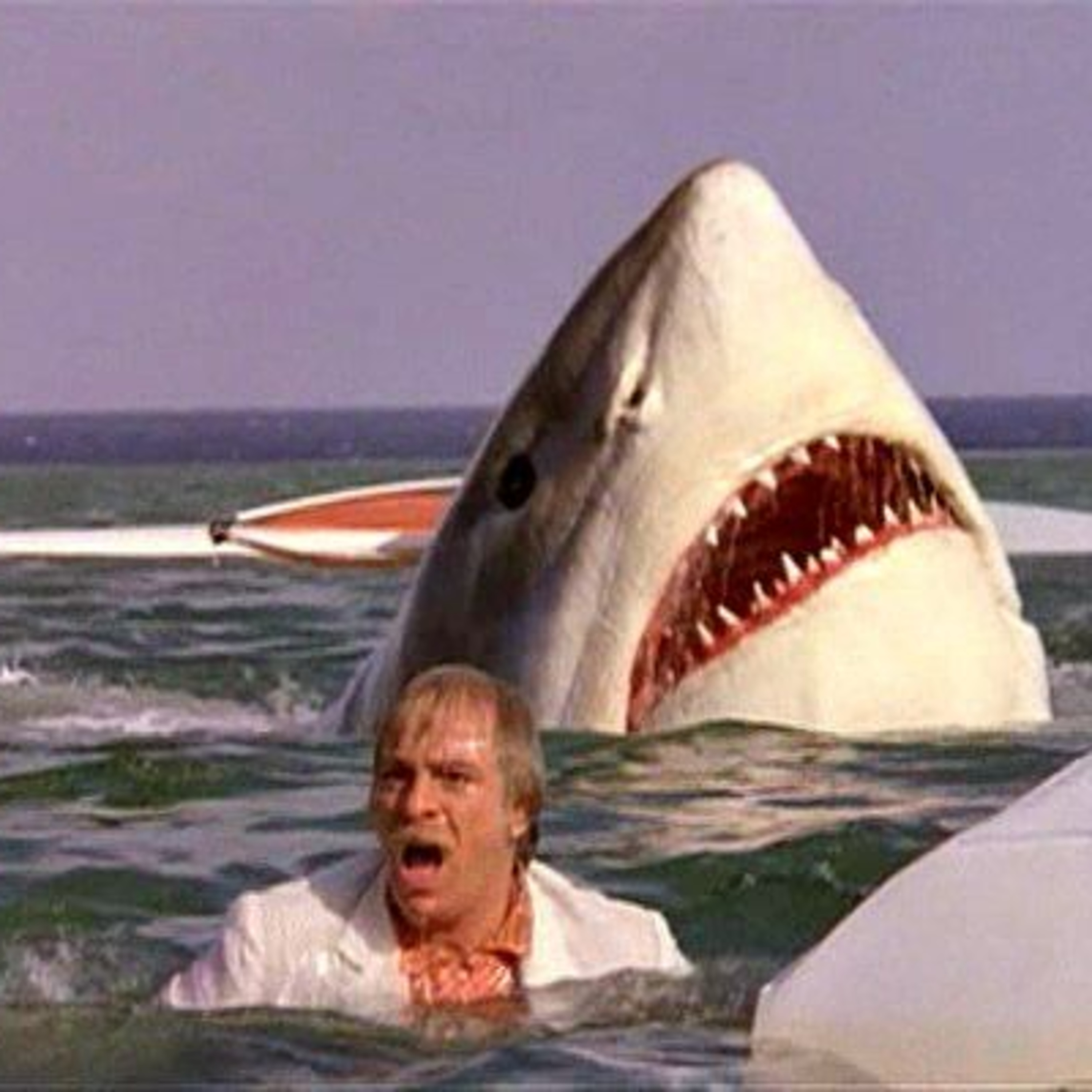 THE LAST SHARK WATCH ALONG (1981) episode artwork