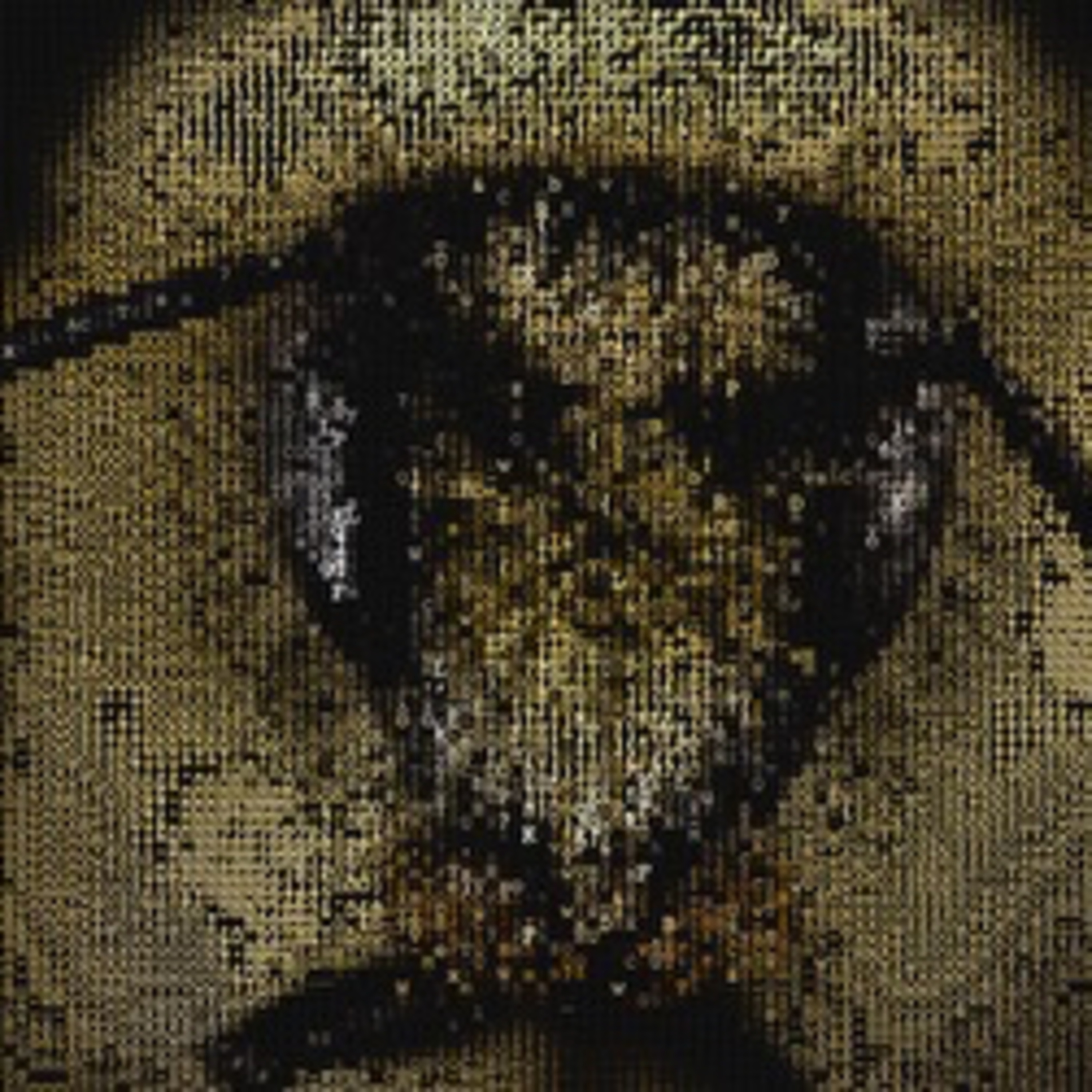Magnetic Fields  episode artwork