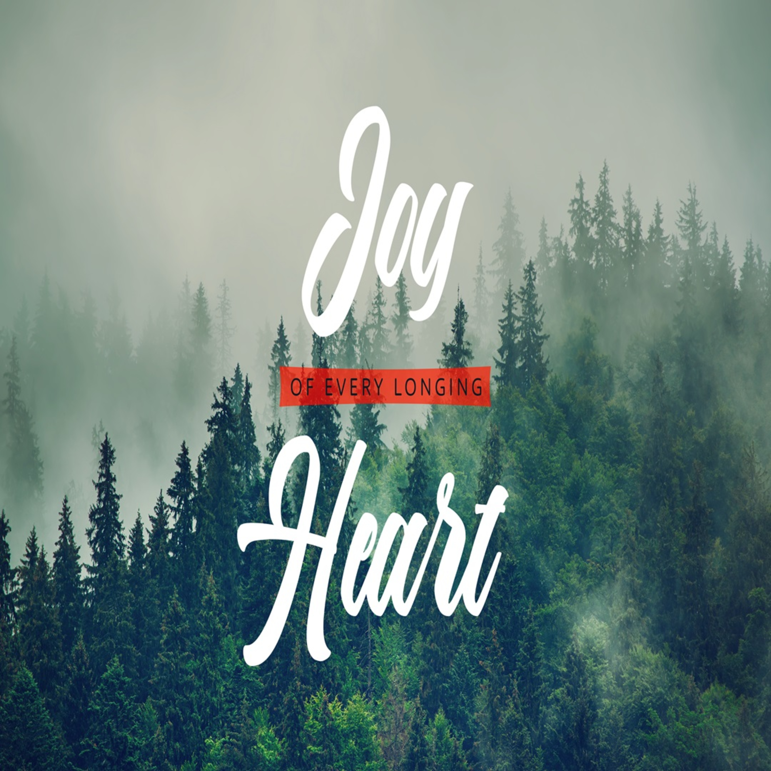 "The Joy of Every Longing Heart" by Pastor Jerry Carter episode artwork