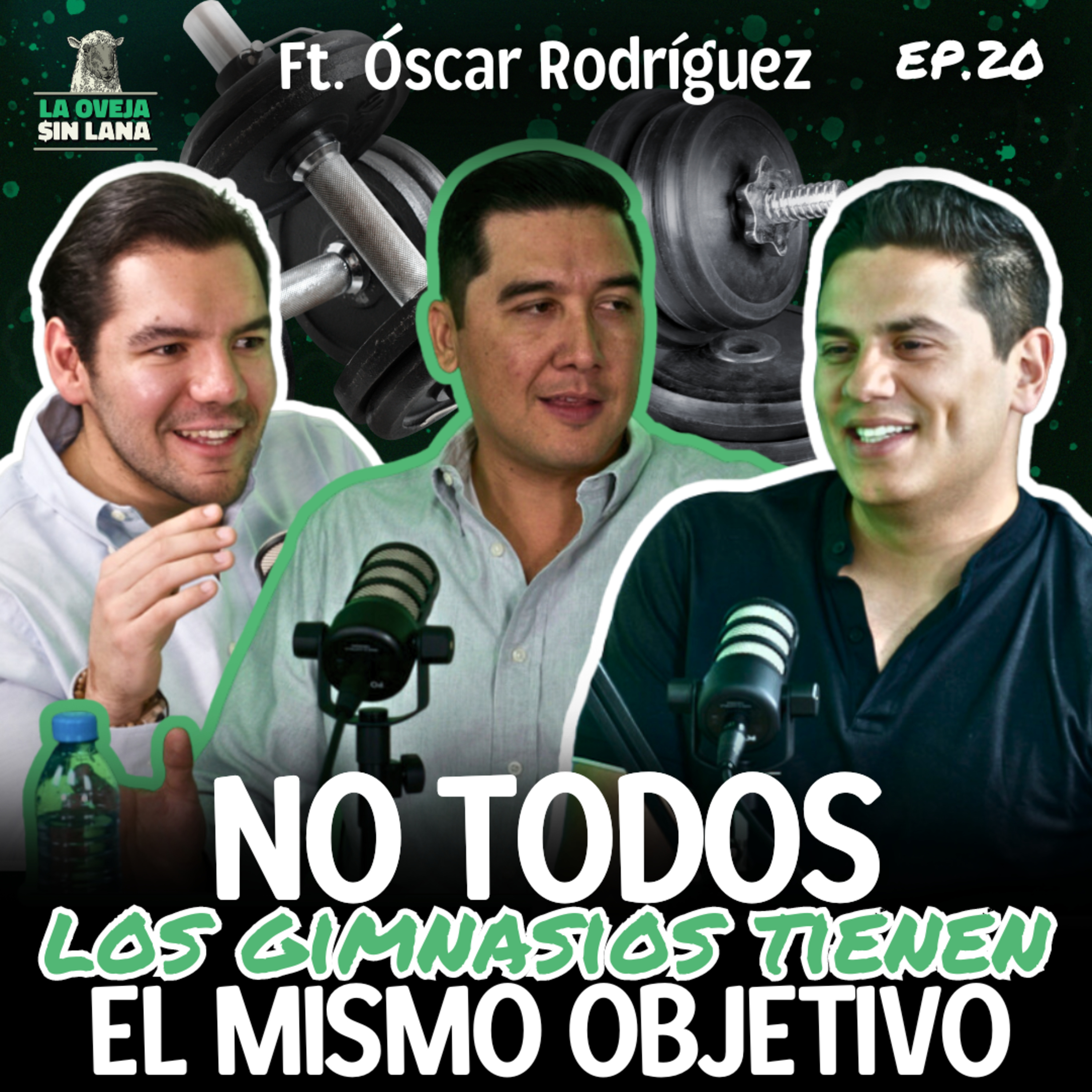 La Oveja sin Lana