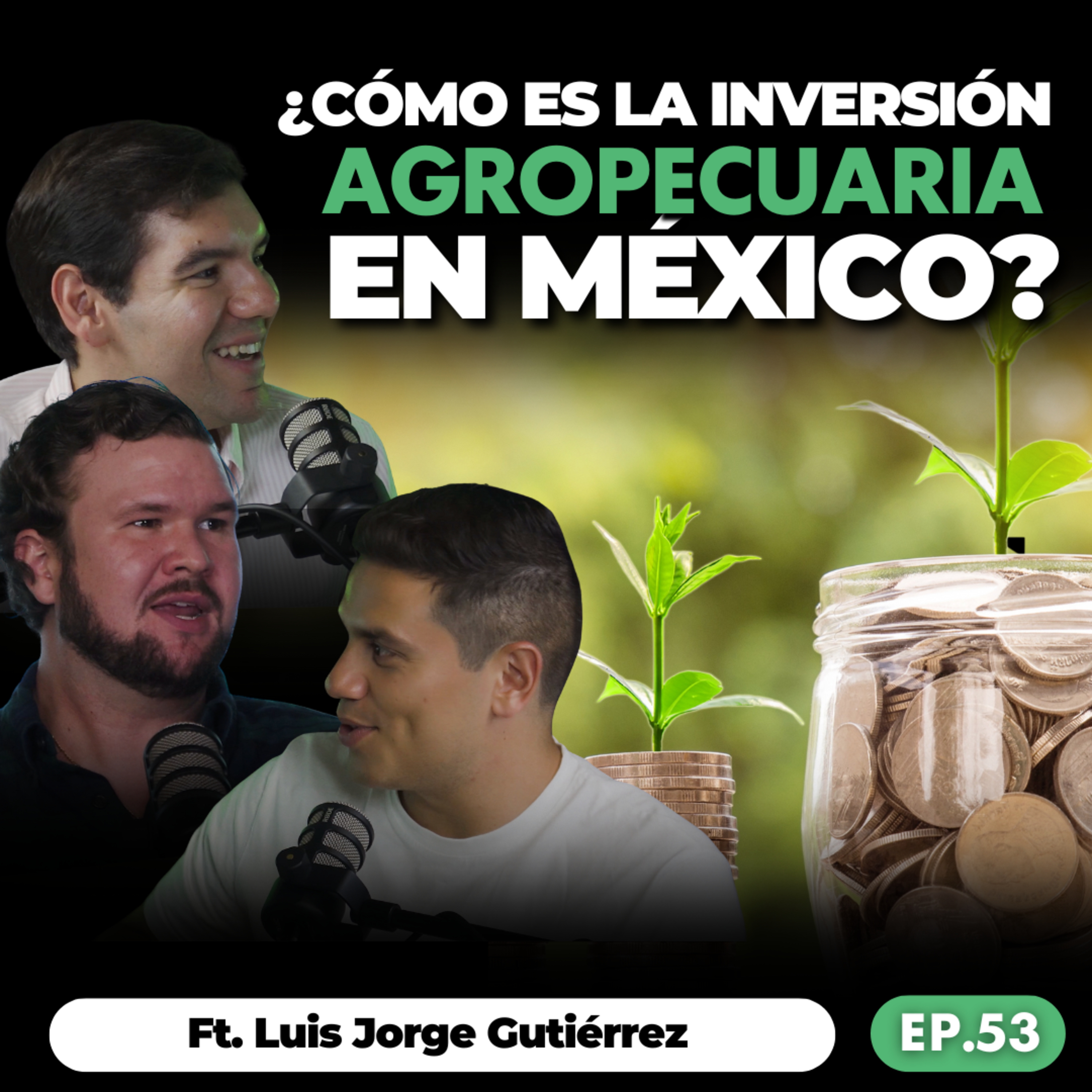 La Oveja sin Lana