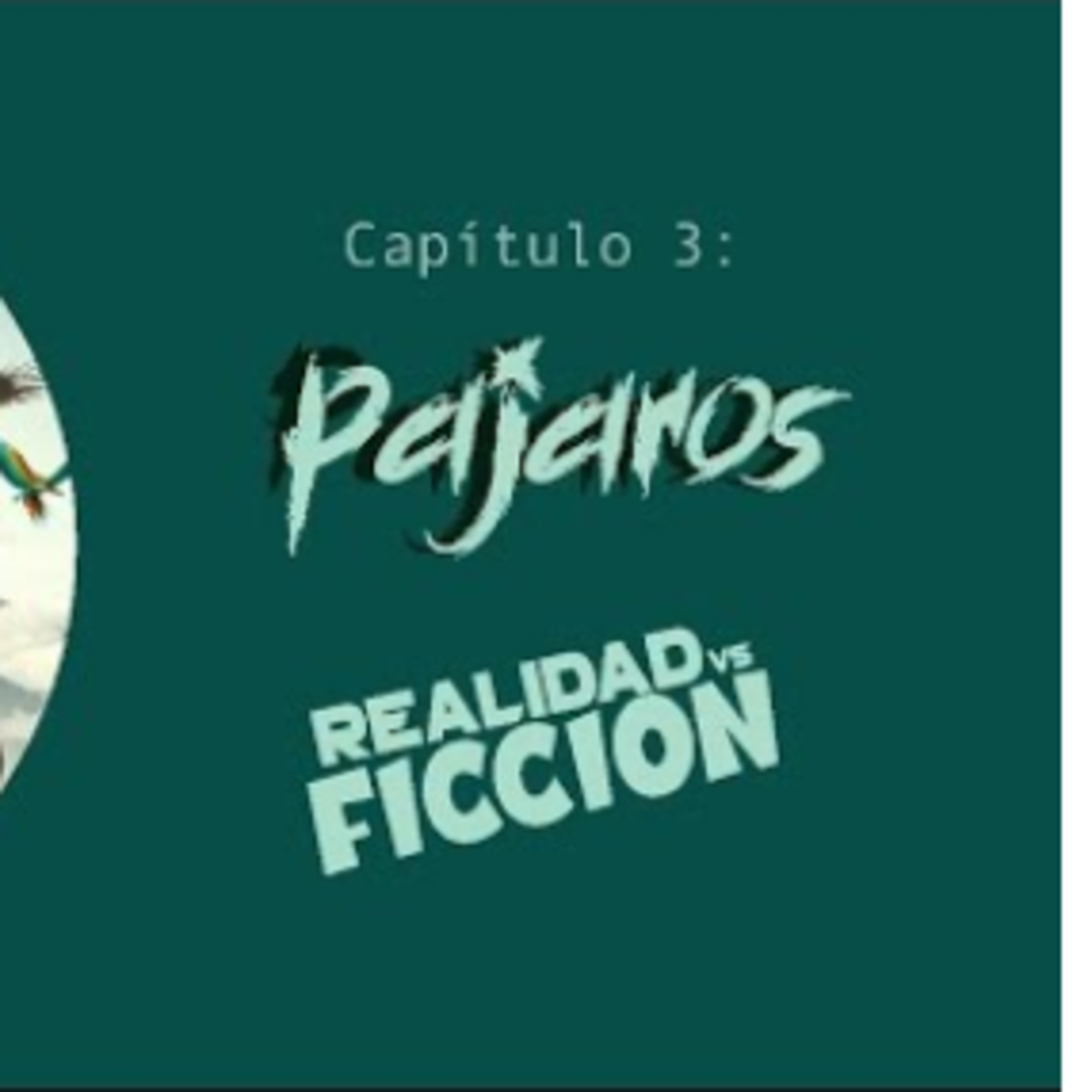 Capítulo 3: Los Pájaros episode artwork