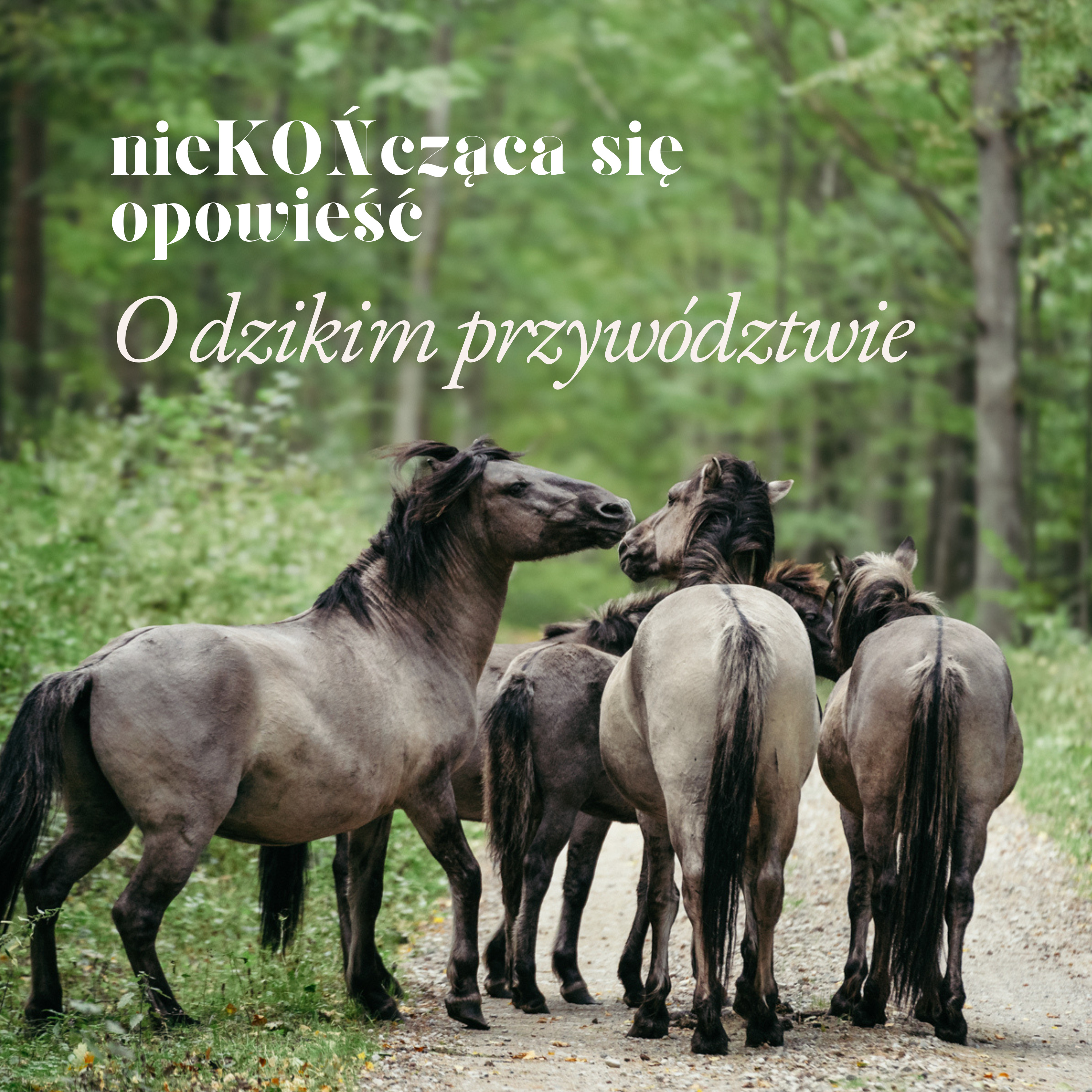 nieKOŃcząca się opowieść