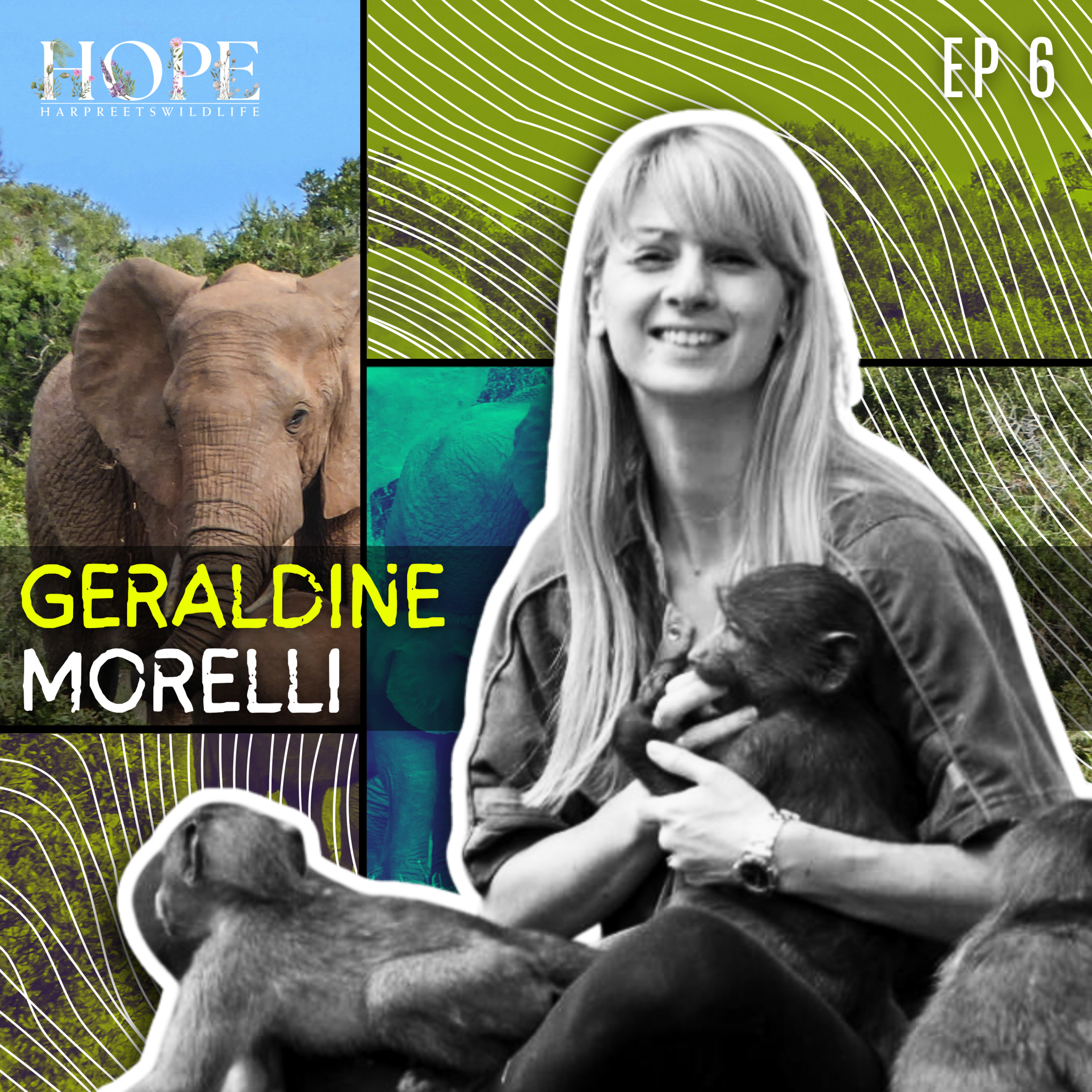 The Story of Salma - Wildlife Conservation ft. Geraldine Morelli 