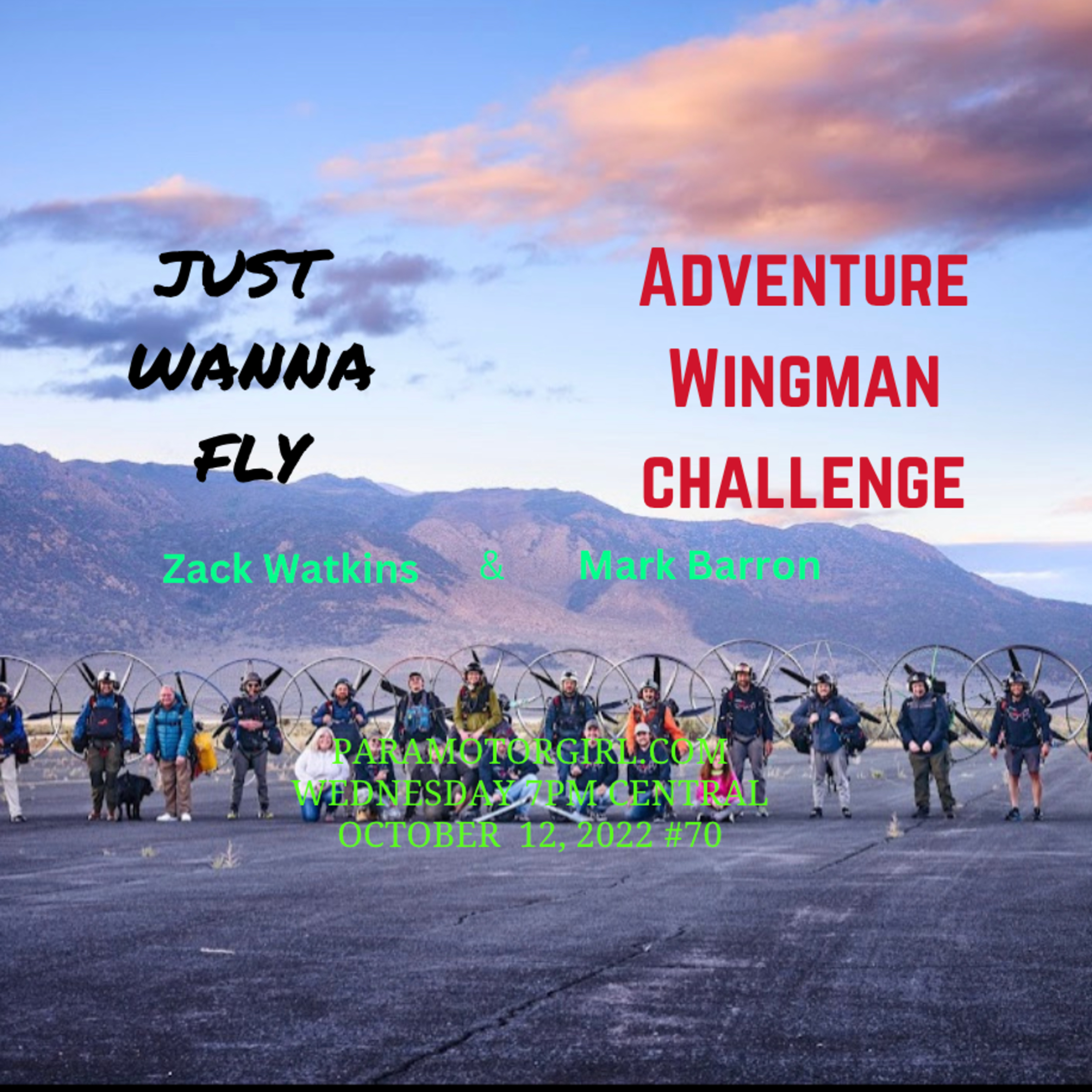 Just Wanna Fly