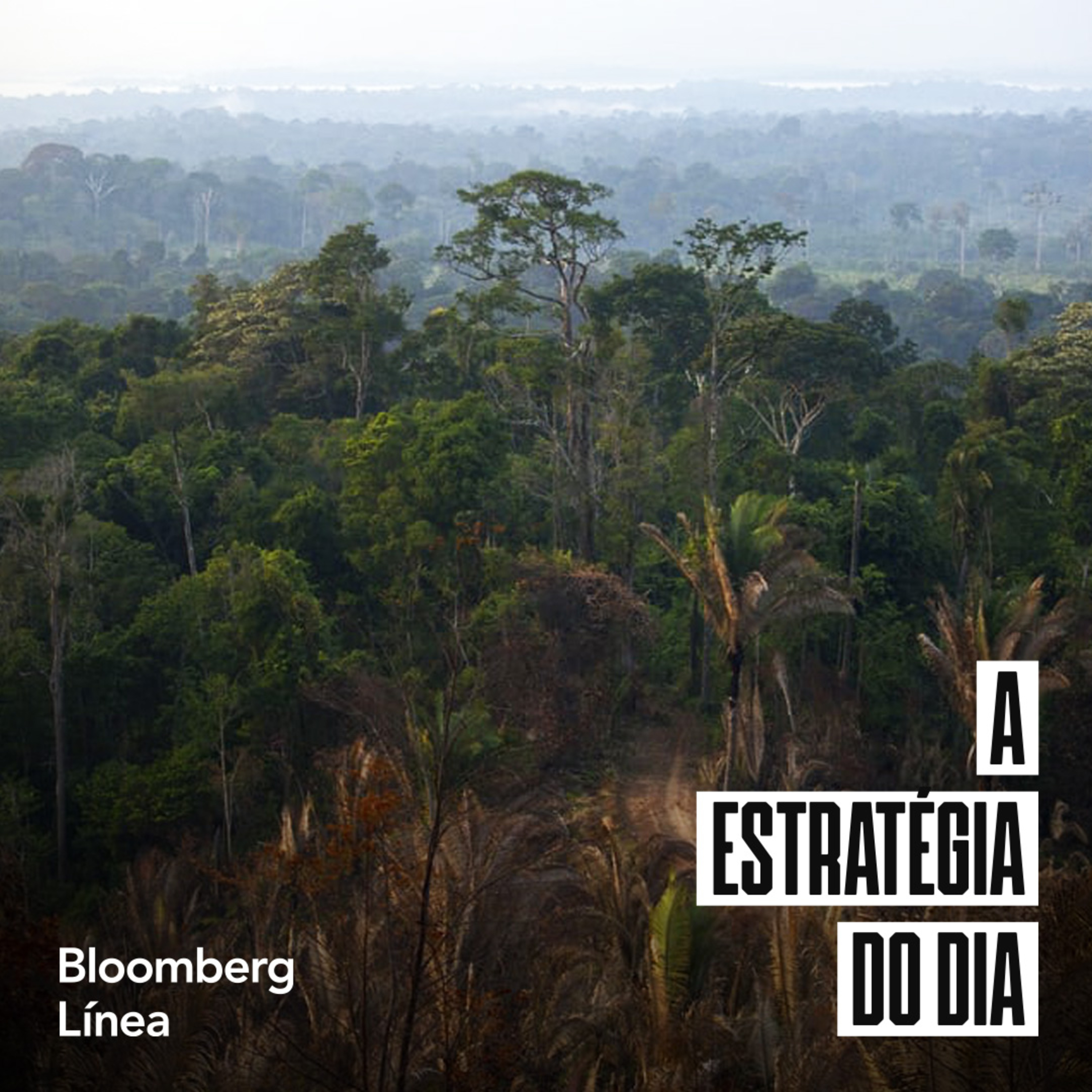 Antes da COP30, Brasil obtém apoio para fundo de florestas  episode artwork
