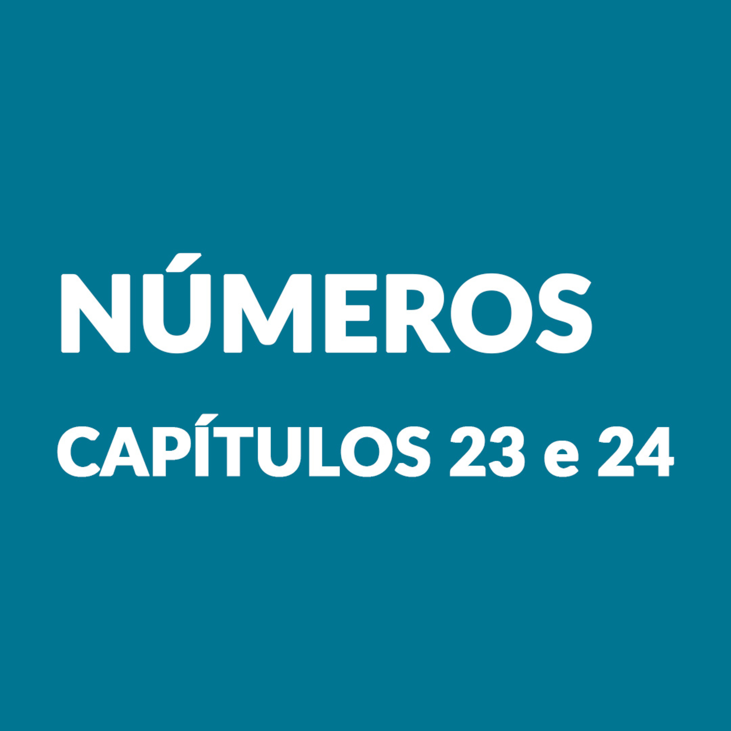 Episódio 84 - Números 23 e 24 episode artwork