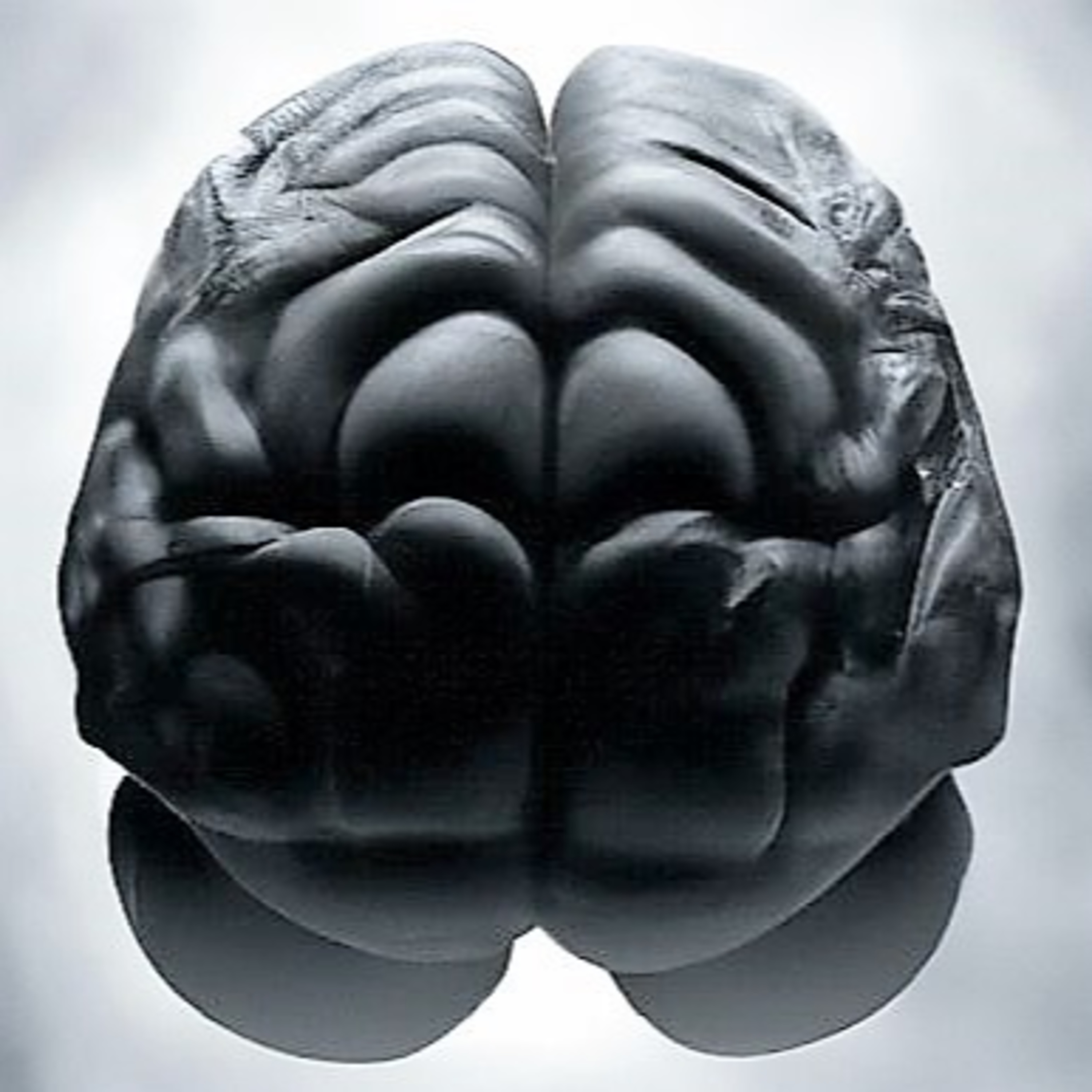 ABCs of Disability Planning