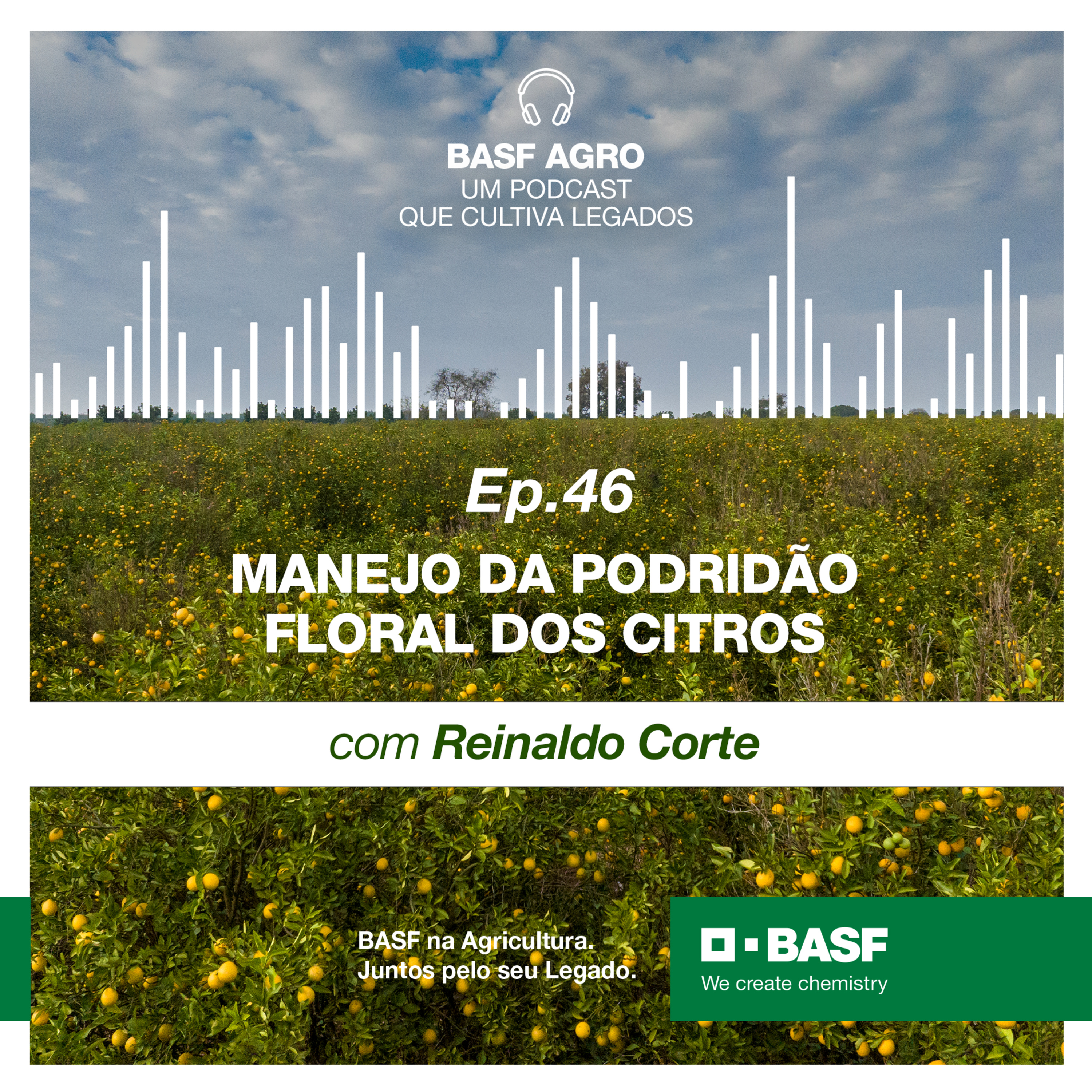 Ep. 46 - Manejo da Podridão Floral dos Citros, com Reinaldo Corte episode artwork