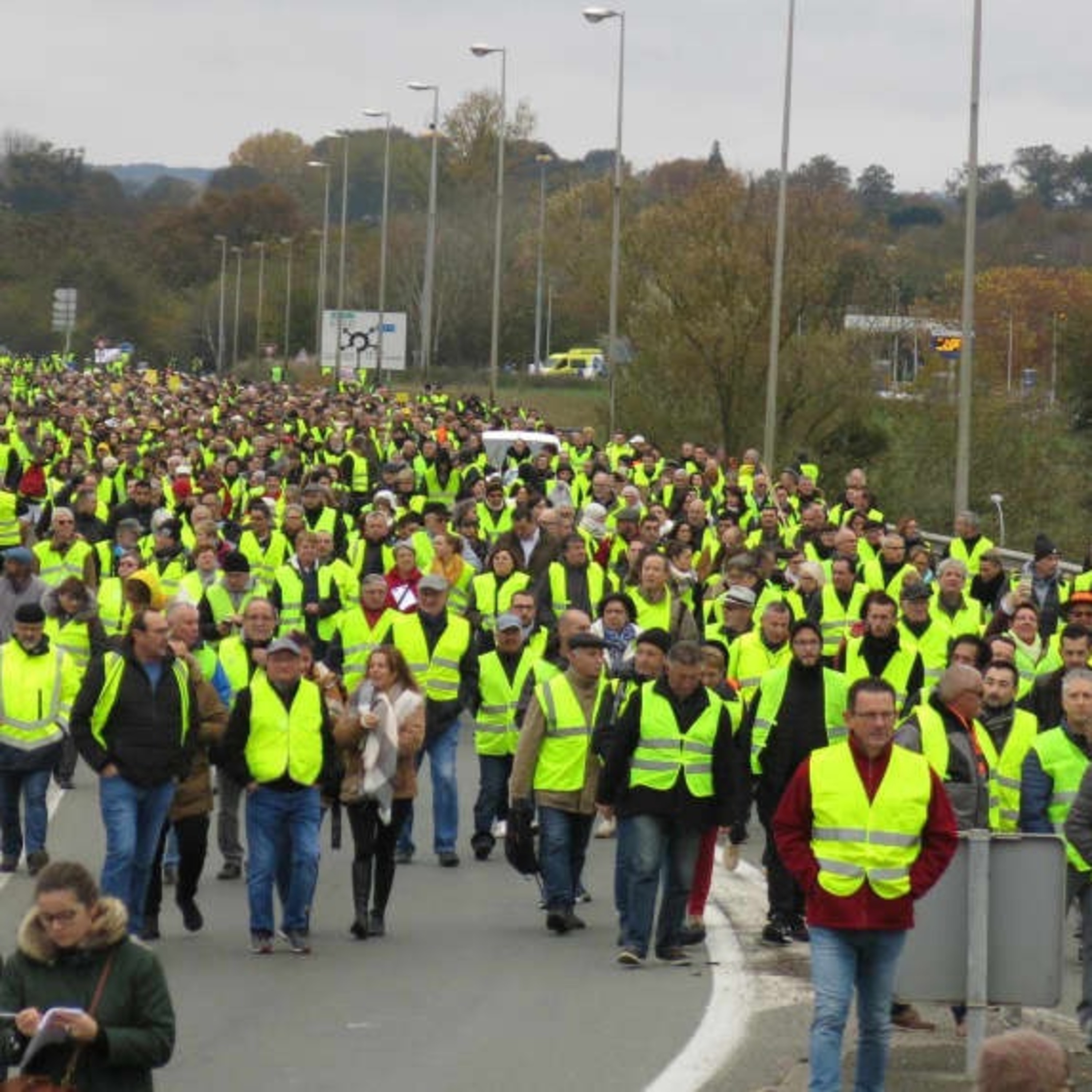 Populisme Et Gilets Jaunes