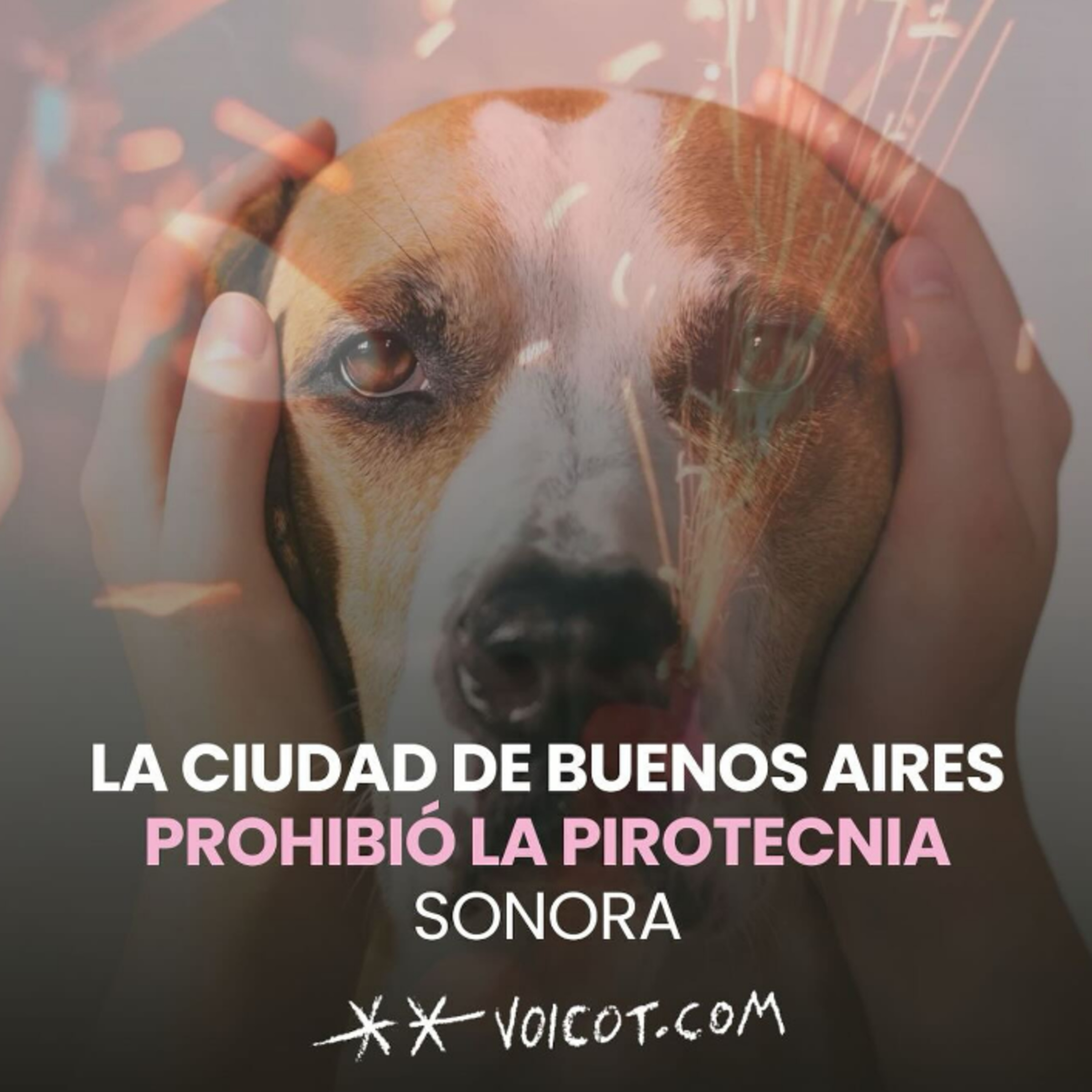Prohibición de pirotecnia sonora en CABA episode artwork