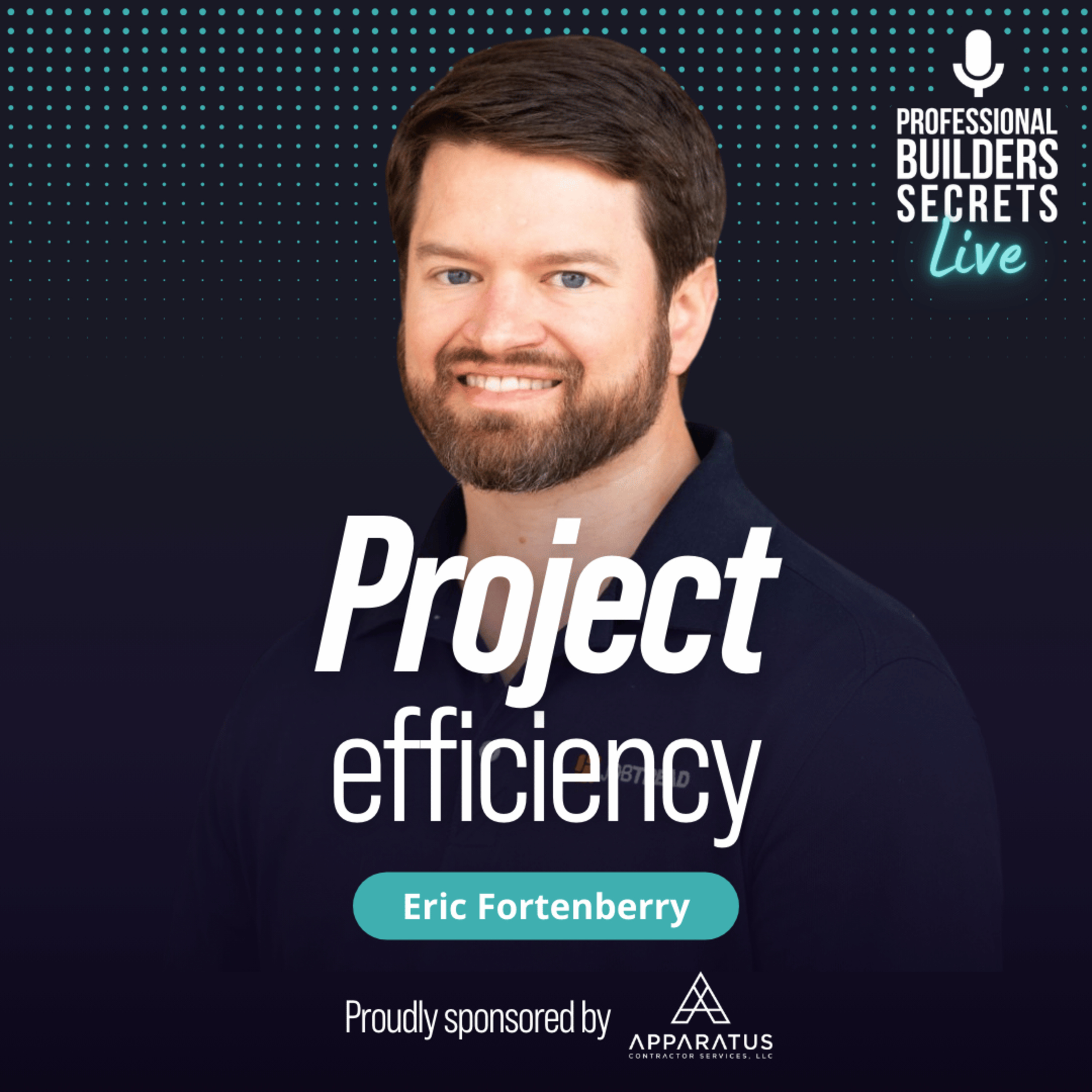 Professional Builders Secrets