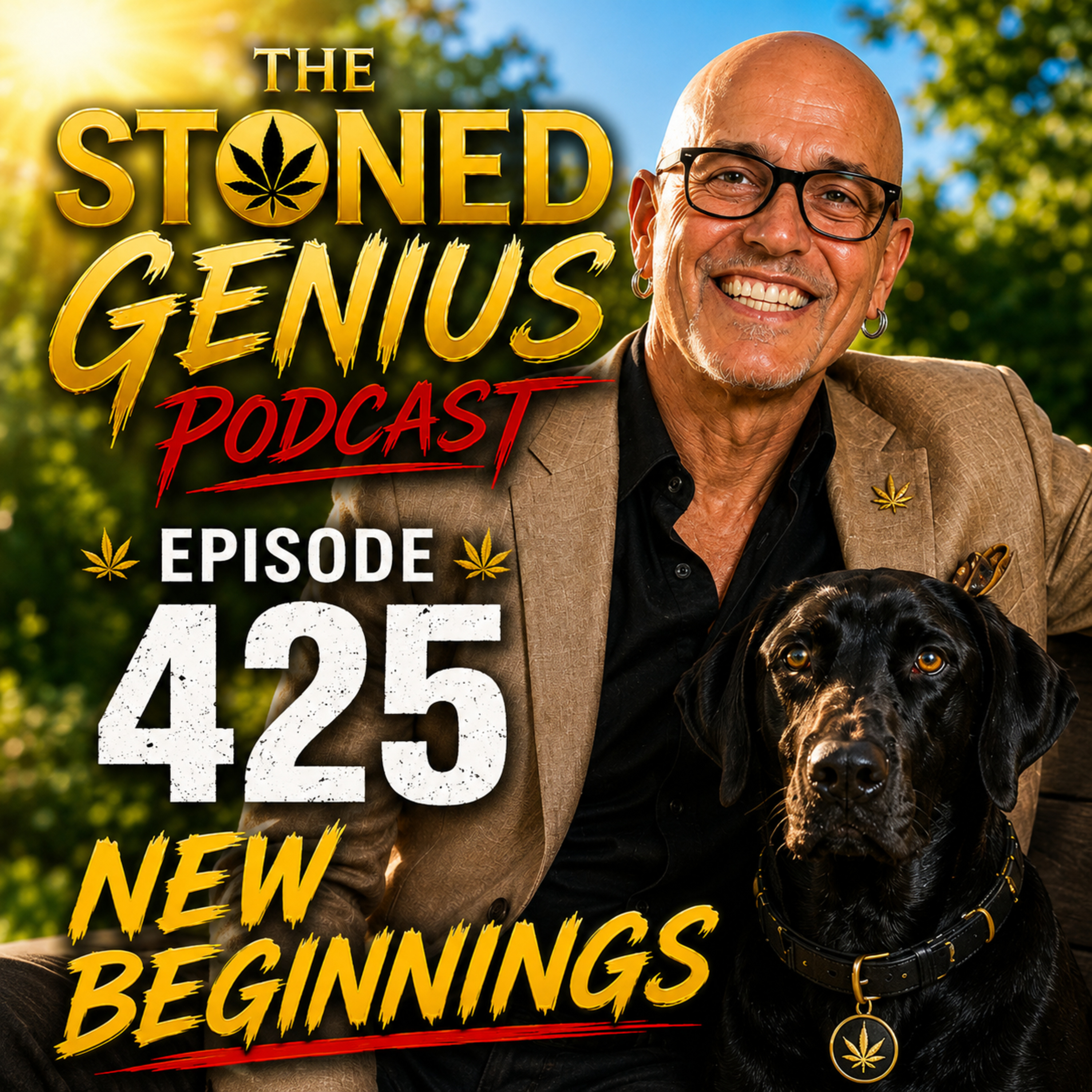 Episode 425 New Beginnings  episode artwork